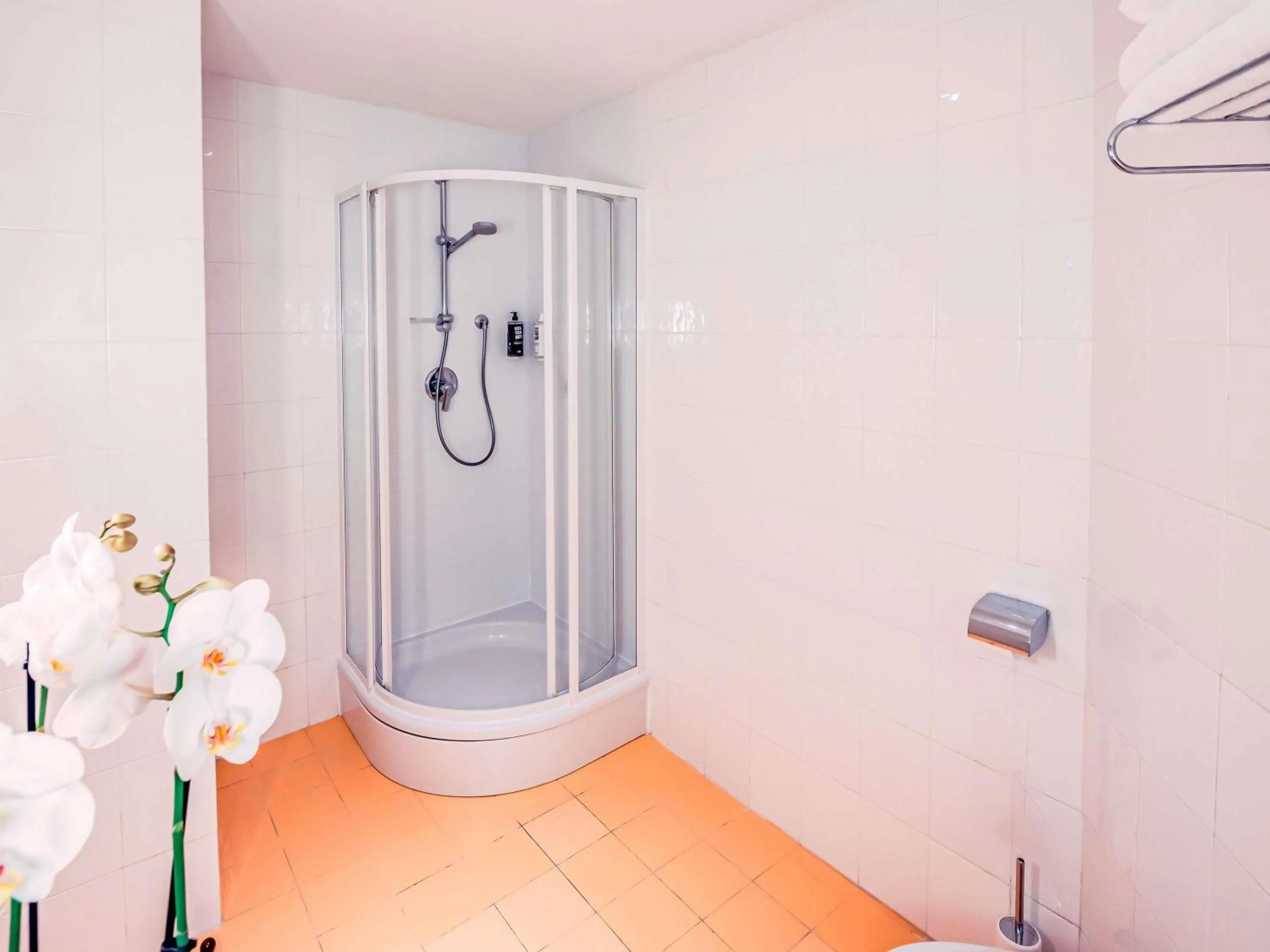 Bedroom in Hotel Ibis Firenze Nord Aeroporto