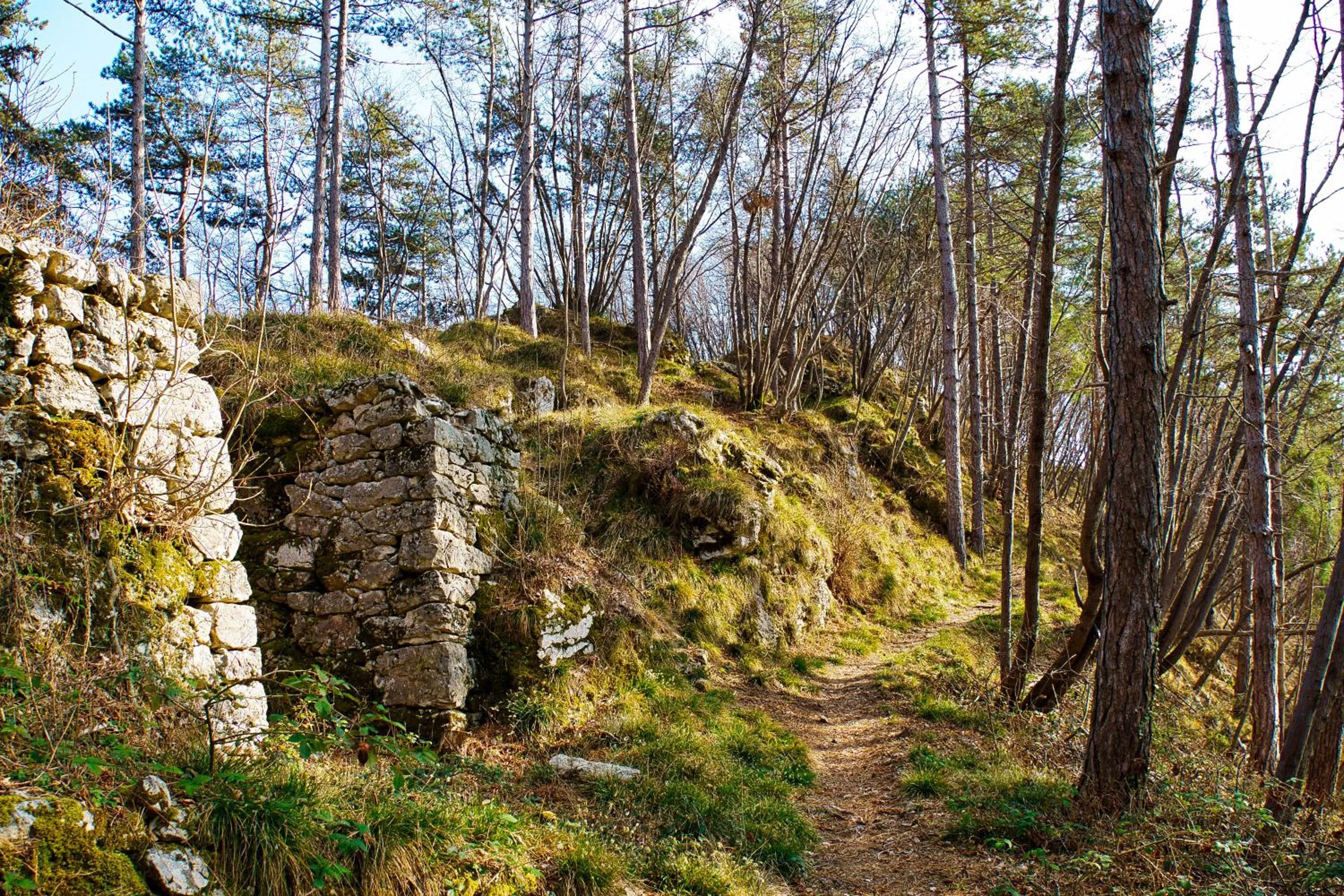Garden in CastelBrando