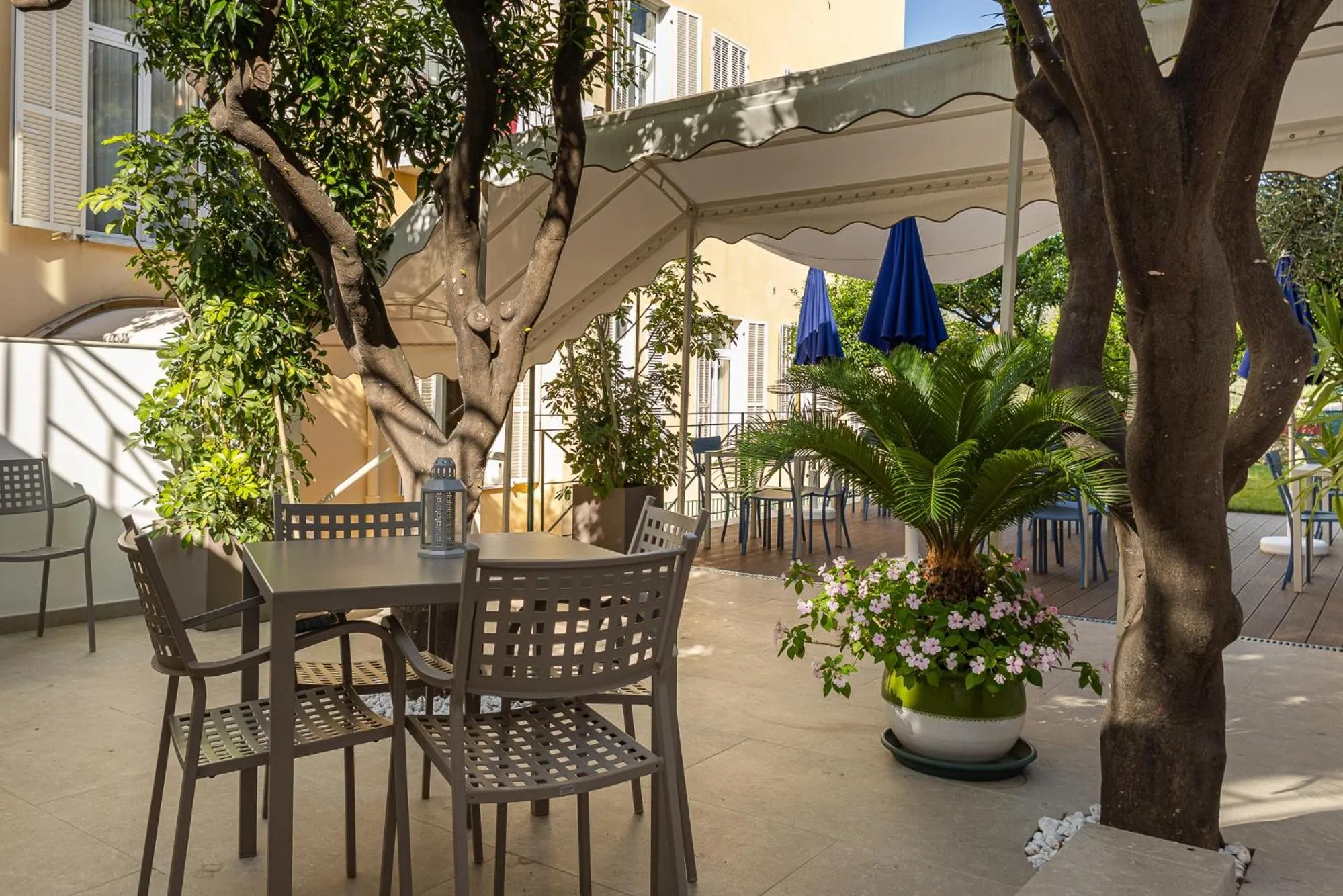 Restaurant/places to eat in Hotel Villa Elisa & Spa