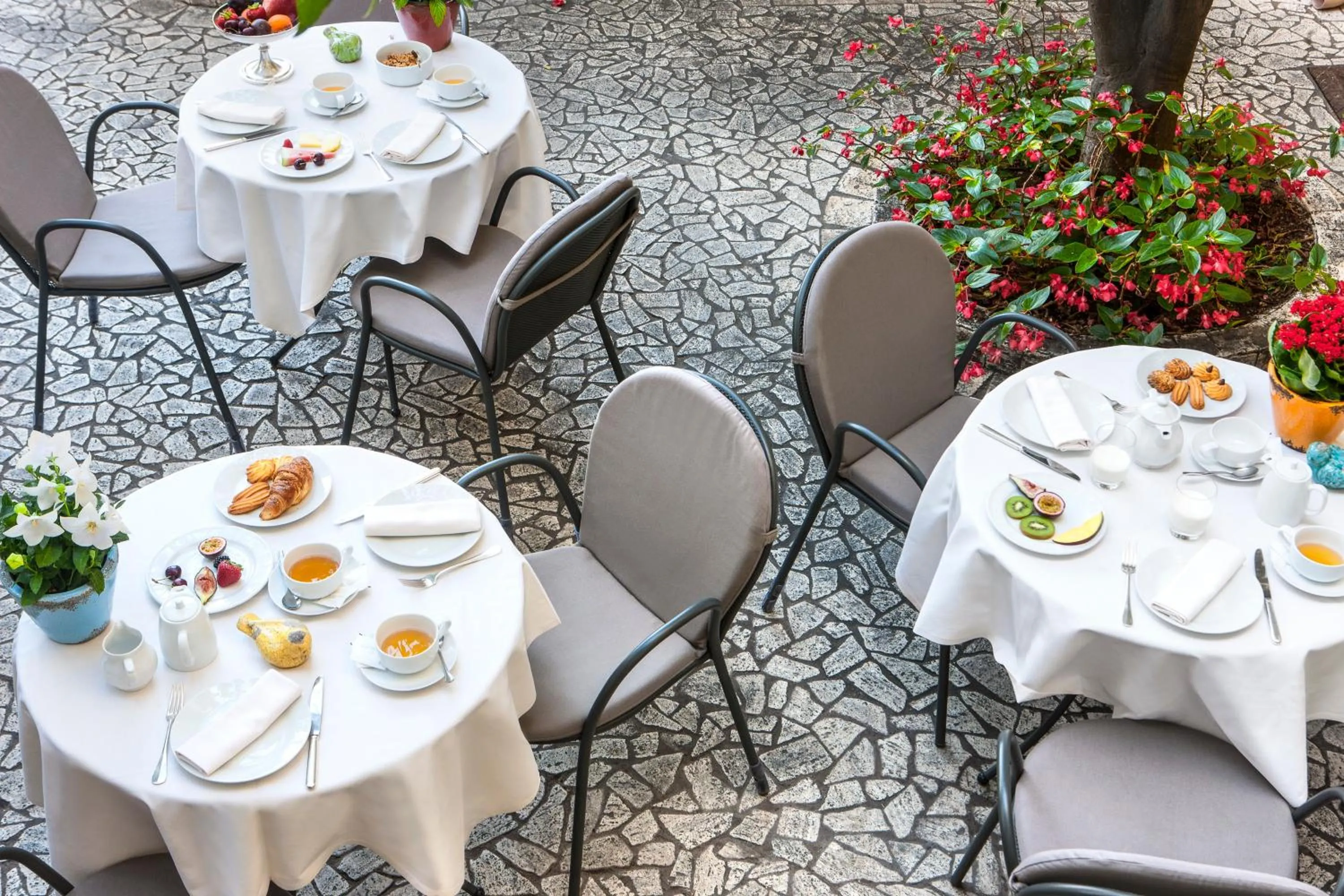 Garden in Hotel Villa Elisa & Spa