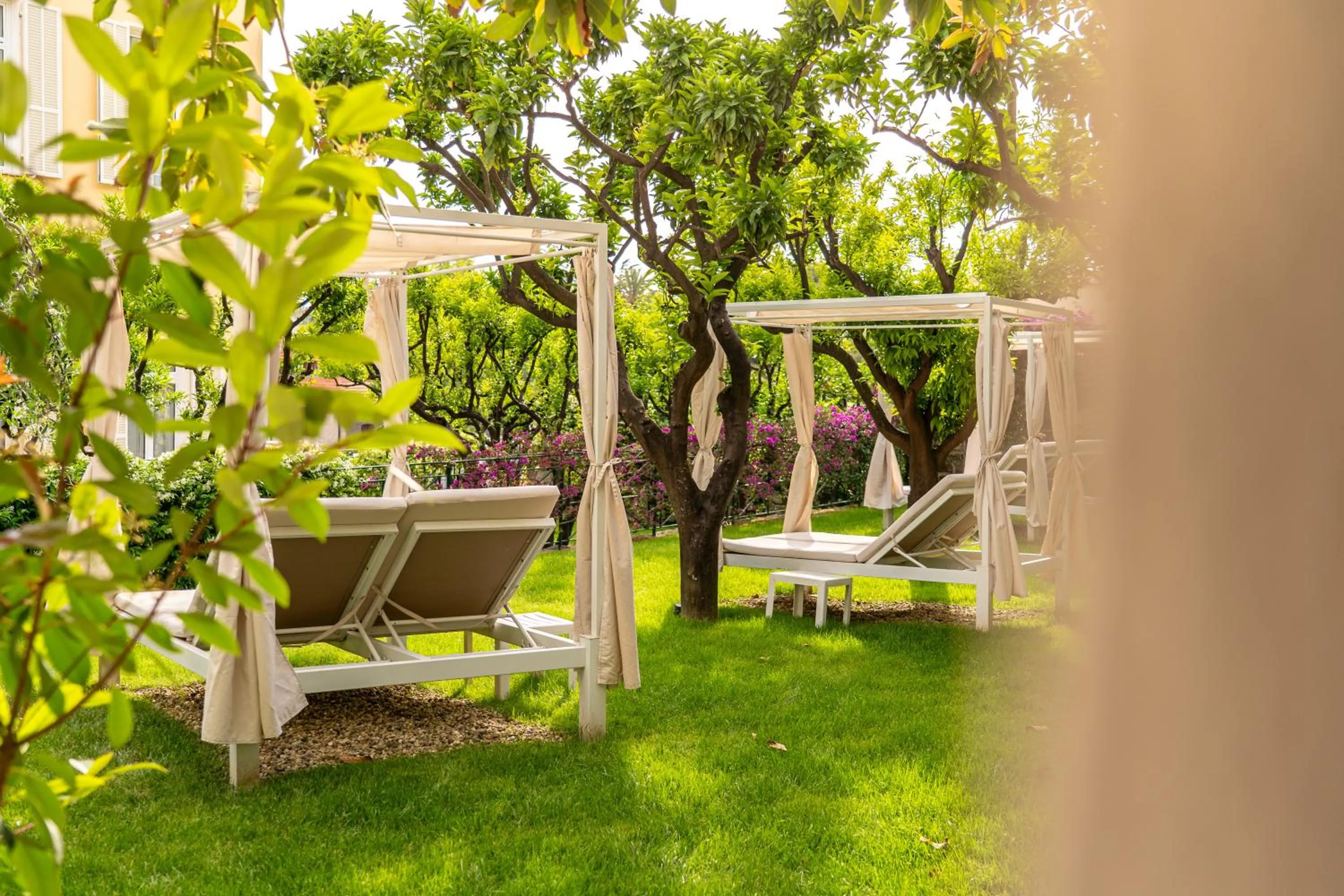 Garden in Hotel Villa Elisa & Spa