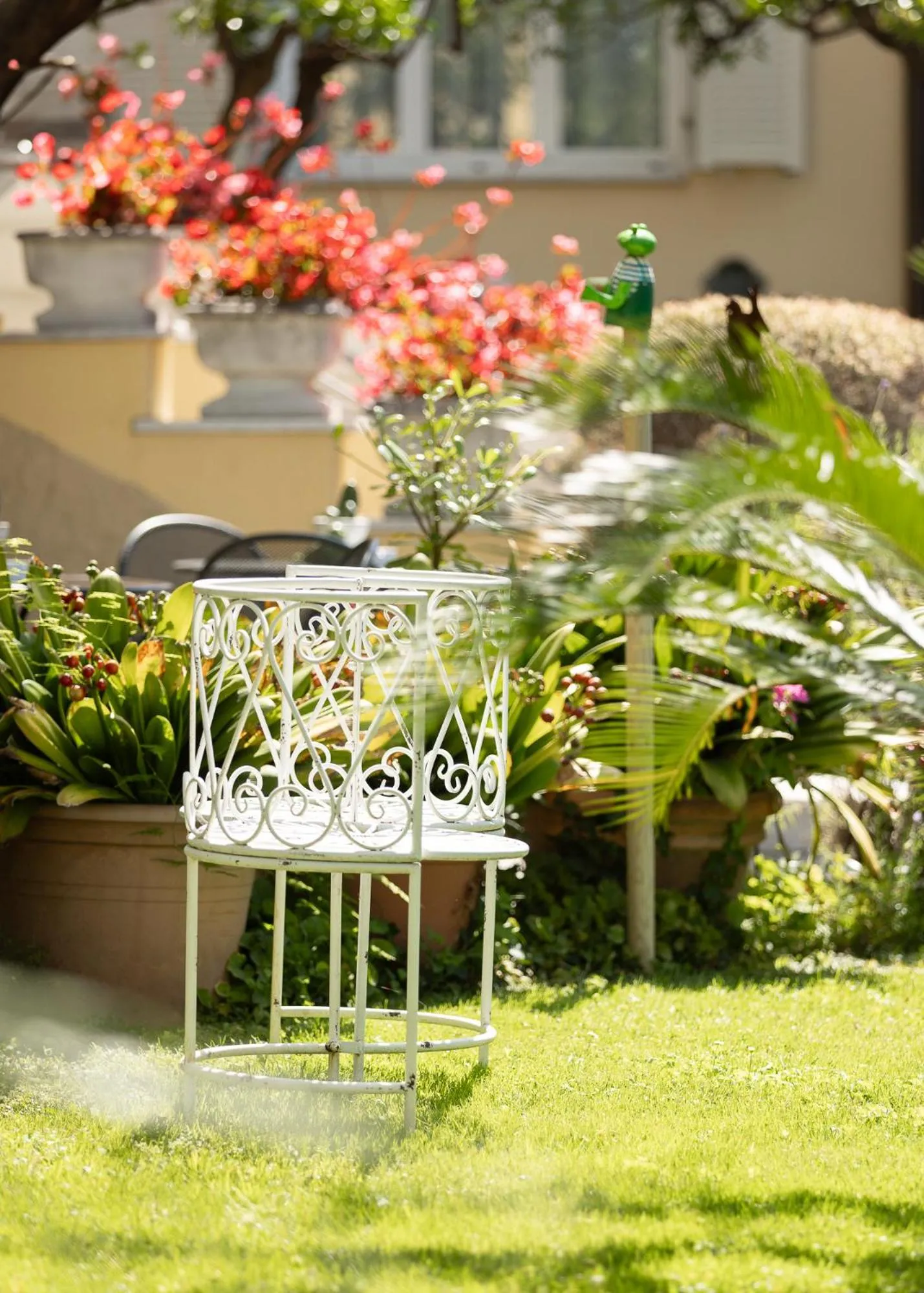 Garden in Hotel Villa Elisa & Spa