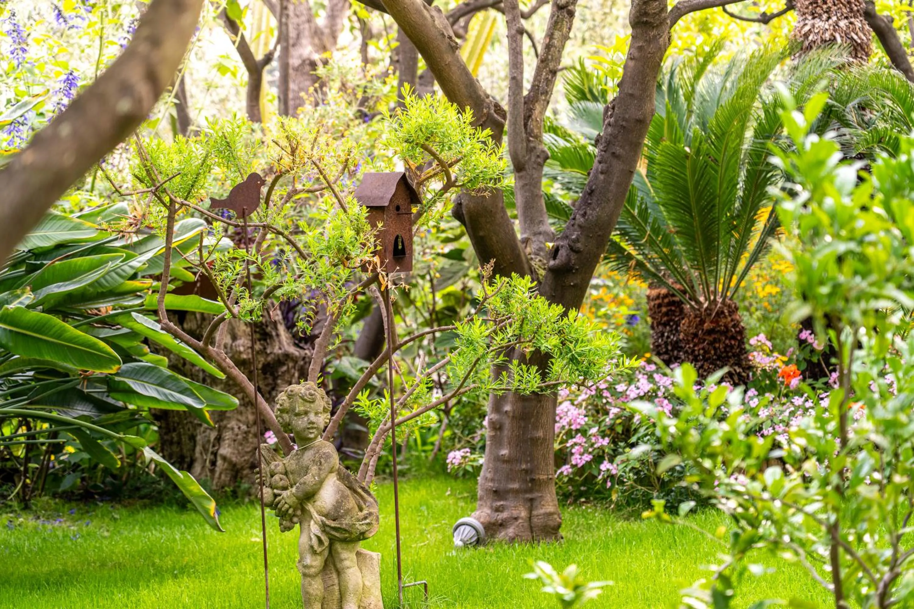 Garden in Hotel Villa Elisa & Spa