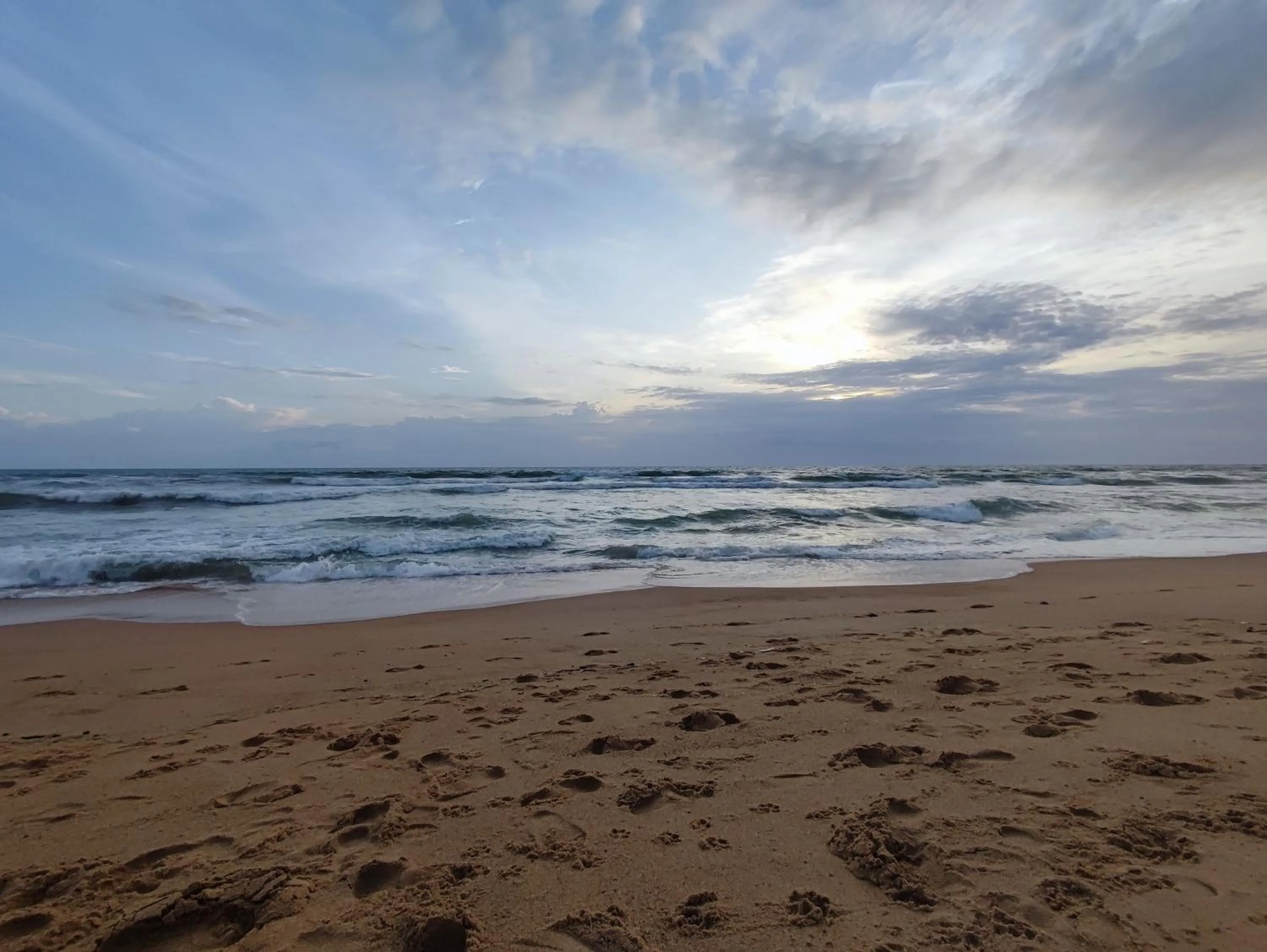 Natural landscape in Hotel Candolim Aloft