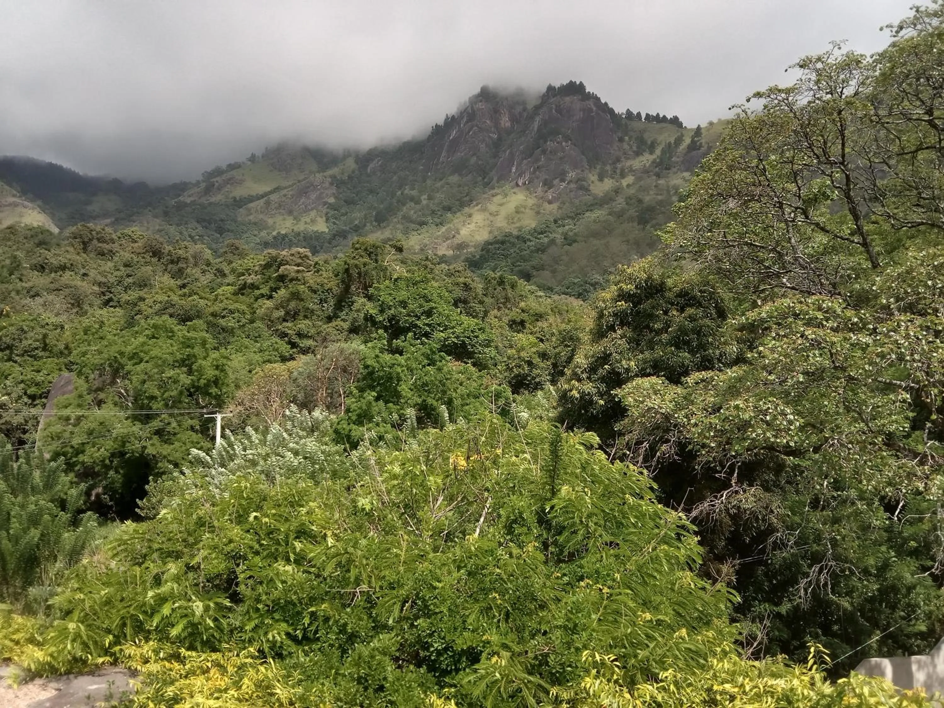 Natural landscape in Moi Ella by DBI