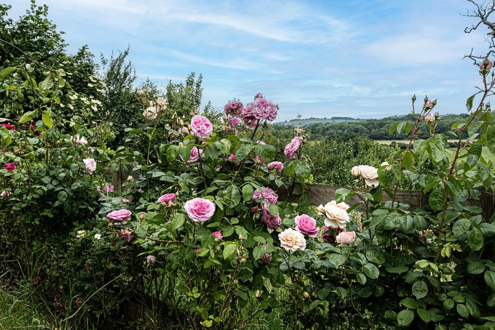 Natural landscape in Deerpark Barn