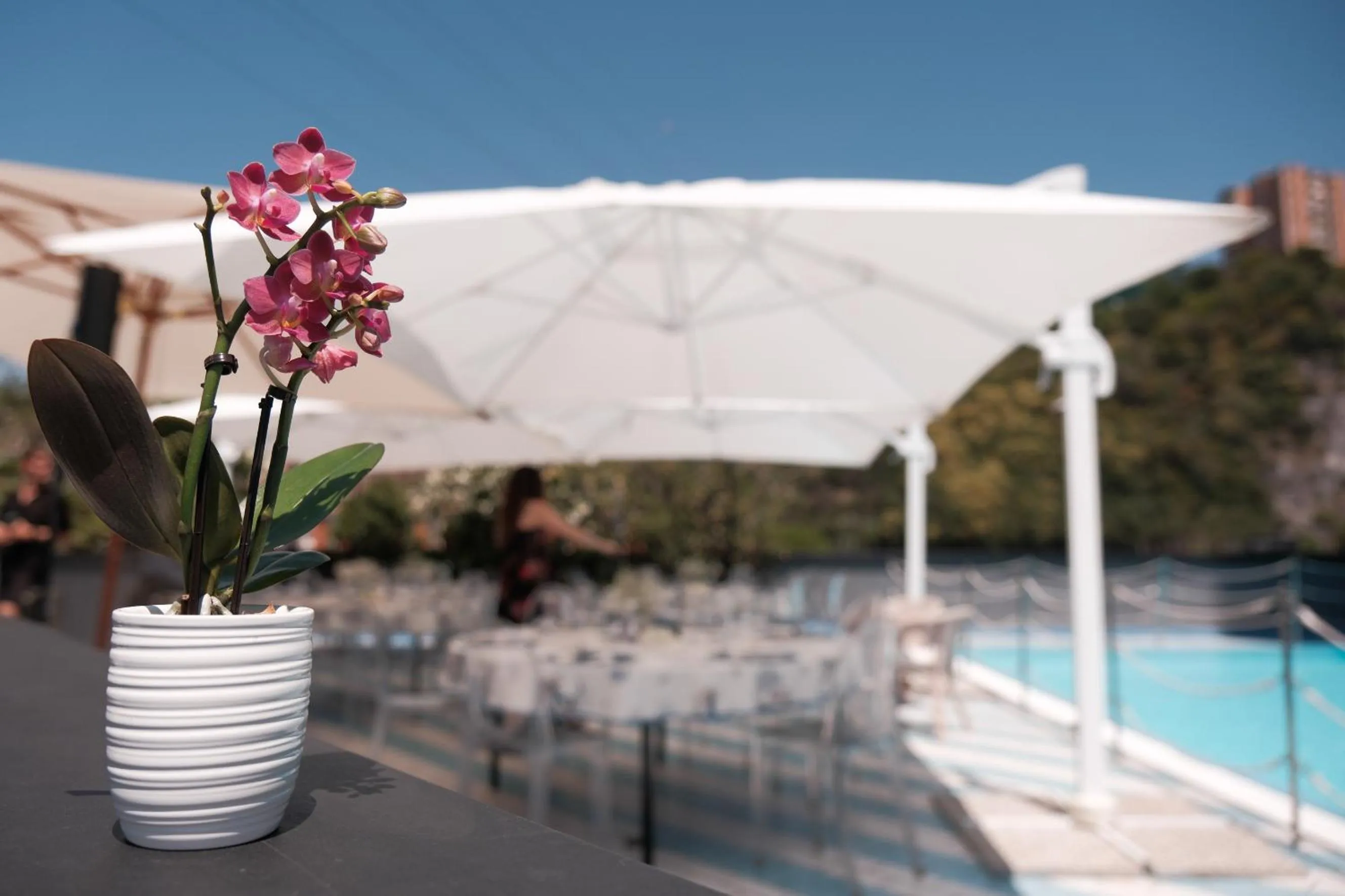 Swimming pool in Novotel Genova City
