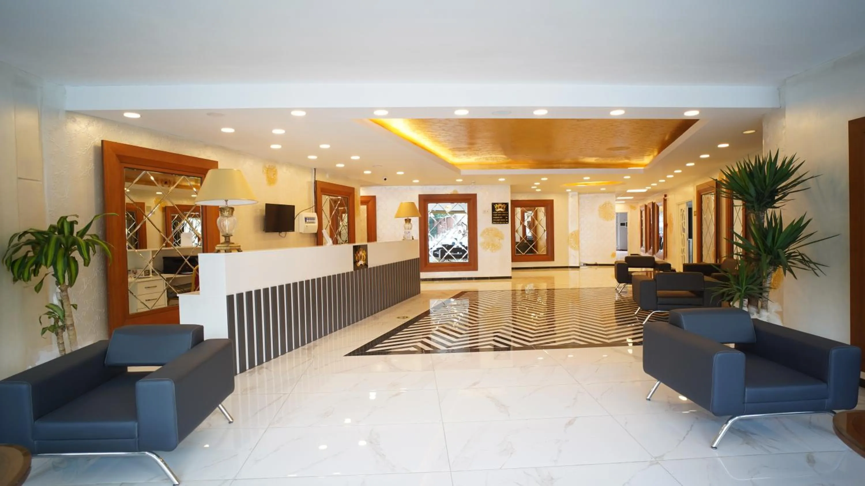 TV and multimedia in Grand Niki Hotel & Spa