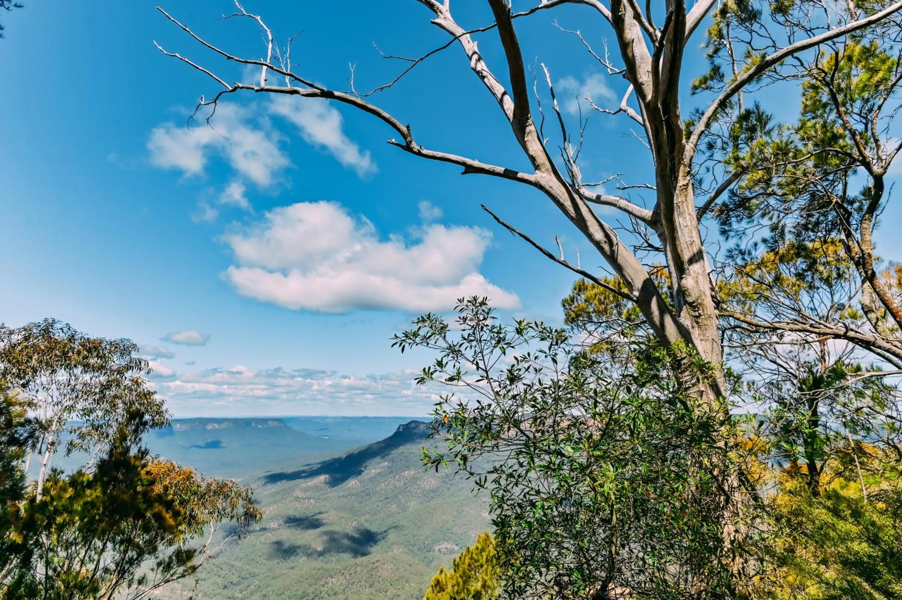 Natural landscape in Leura Gardens Resort