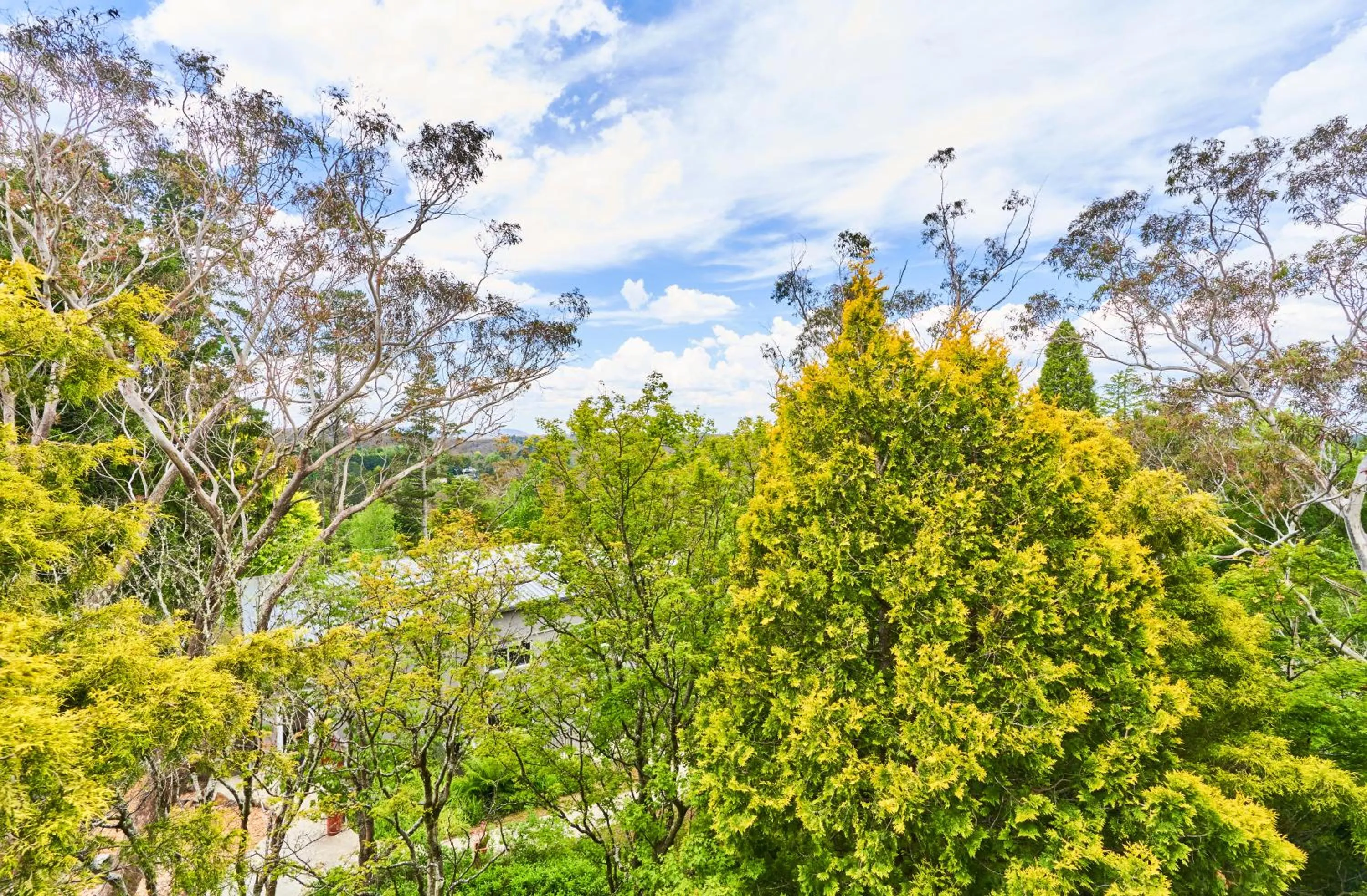 View (from property/room) in Leura Gardens Resort