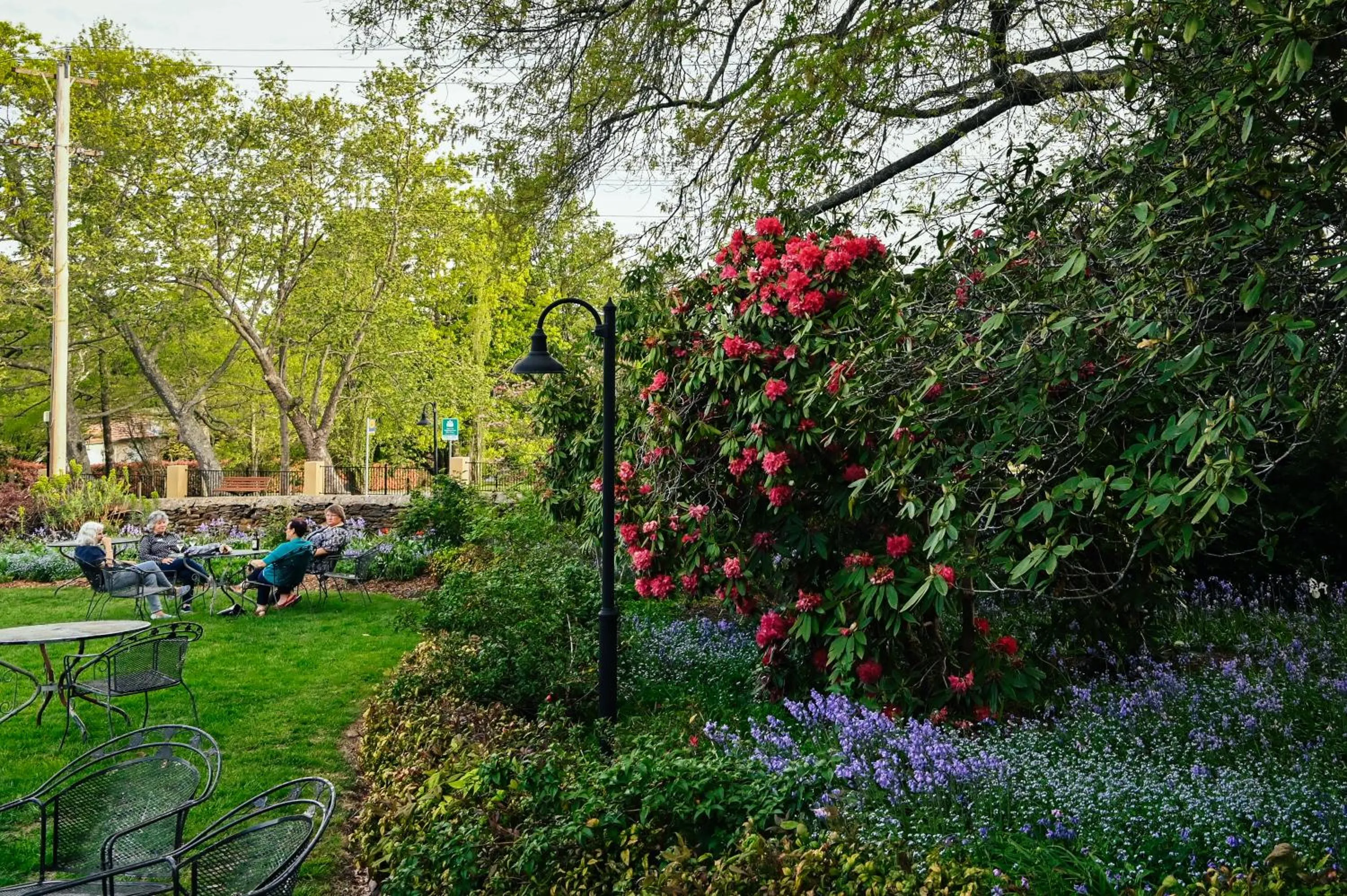 Garden in Leura Gardens Resort