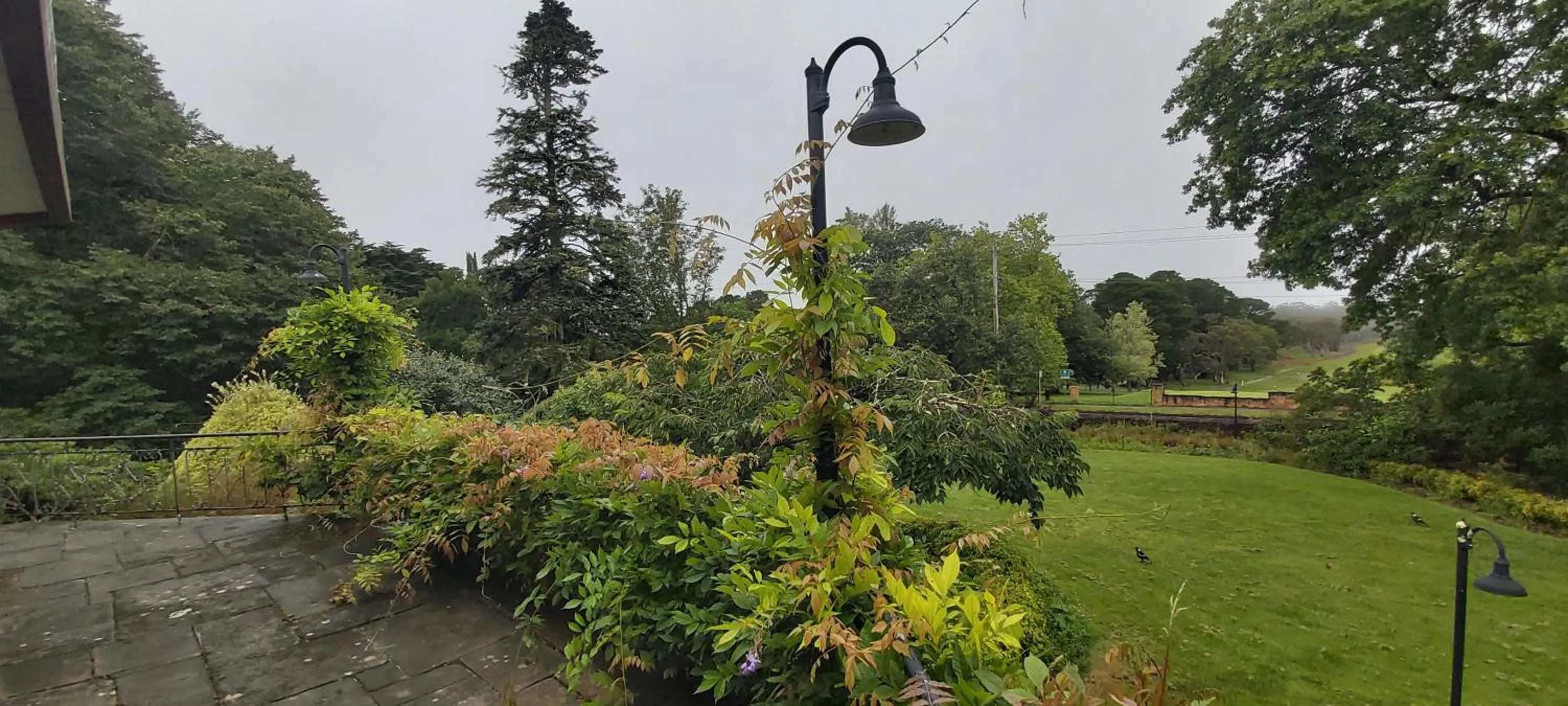 Garden in Leura Gardens Resort