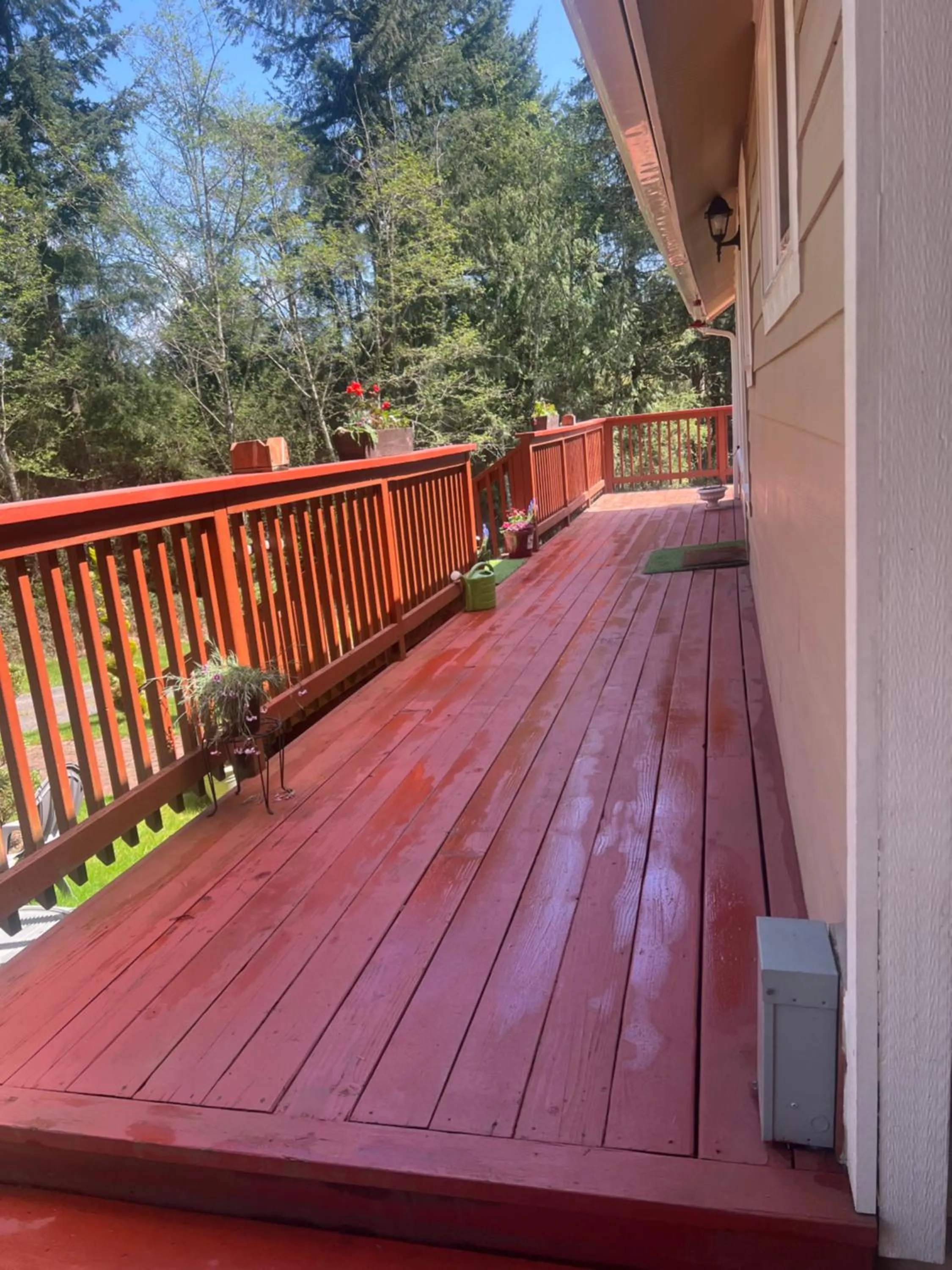 Balcony/Terrace in Serene Cottage in the Woods