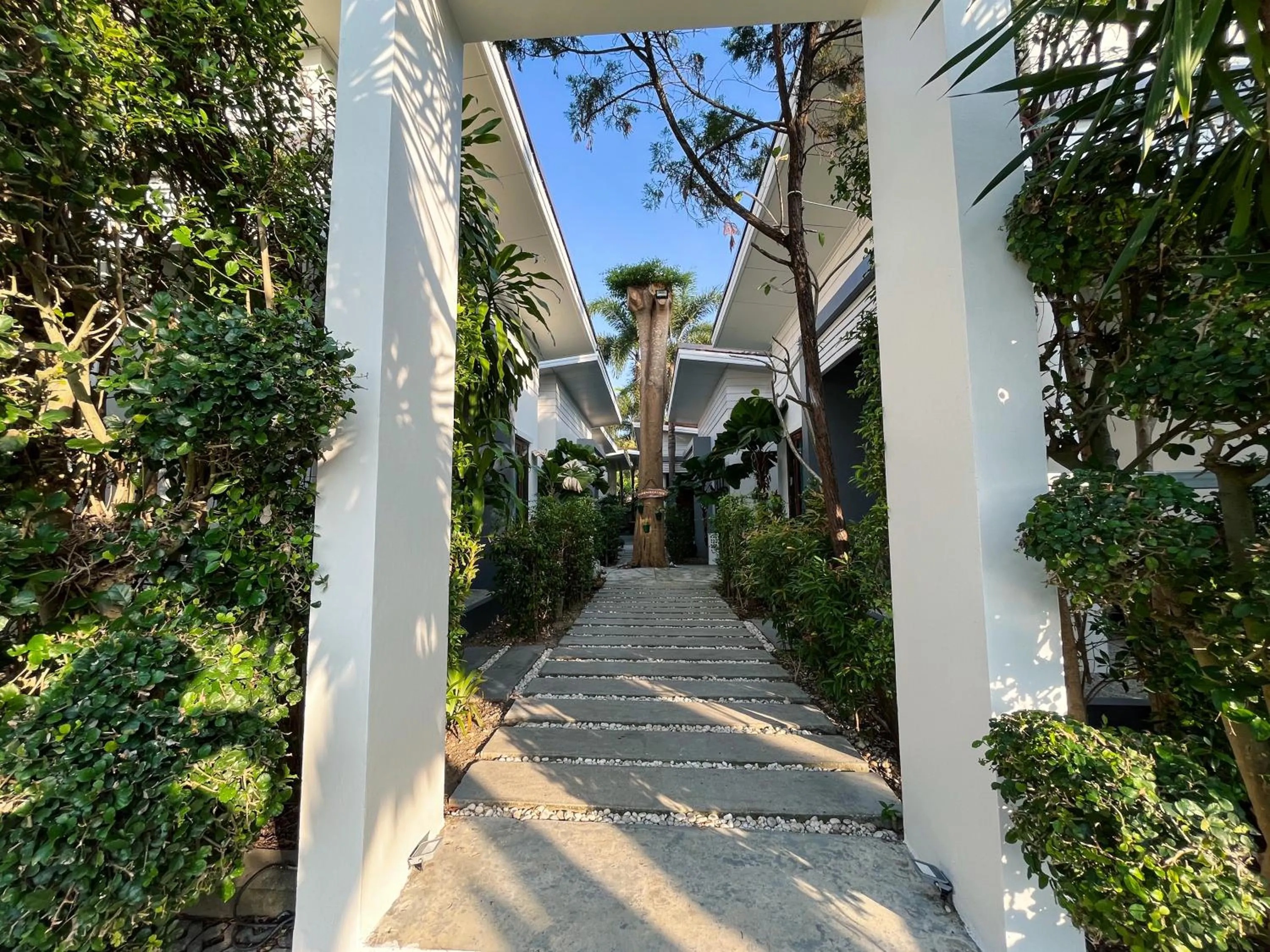 Garden in Purepamvillage