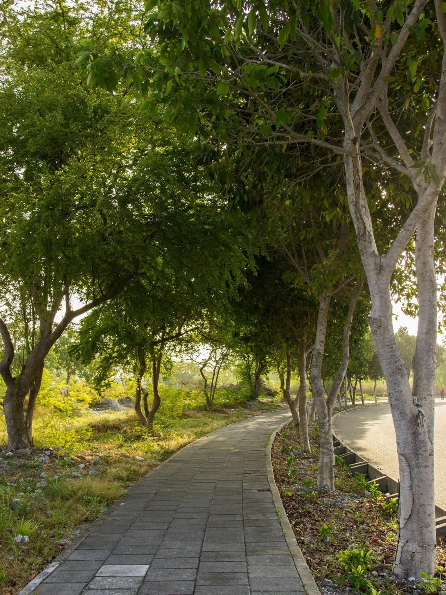 Off site in Newtown Inn