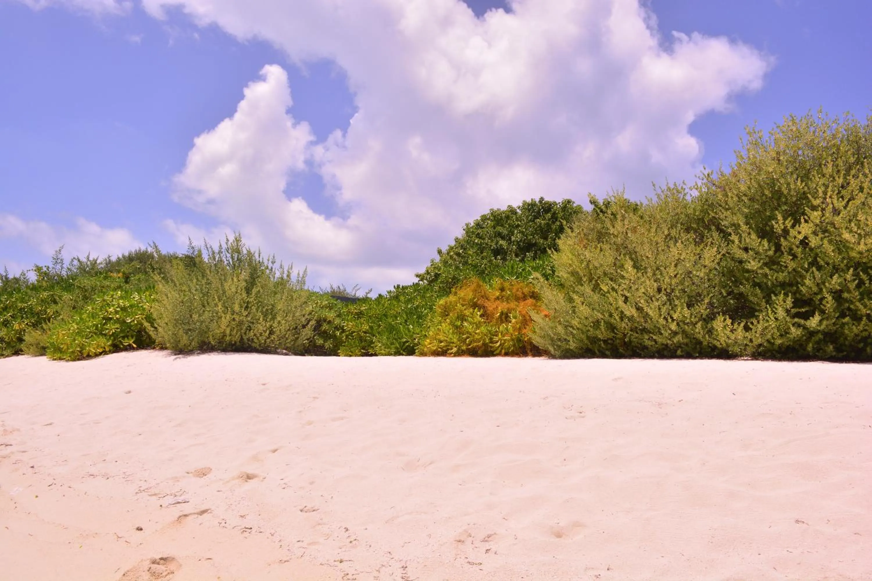 Beach in Newtown Inn
