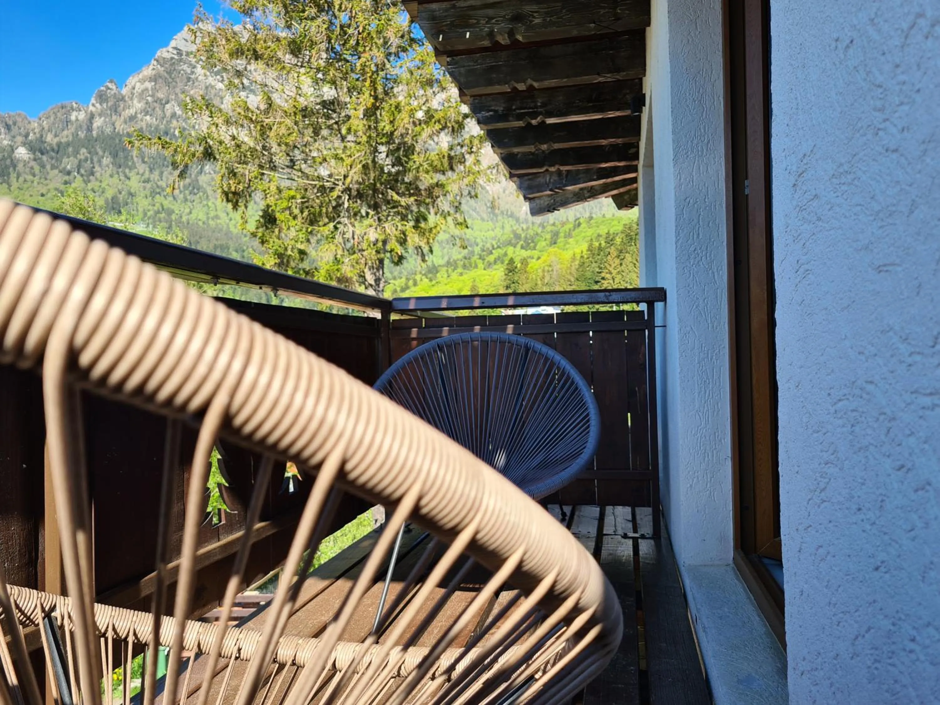 Balcony/Terrace in CASA FLORESCU