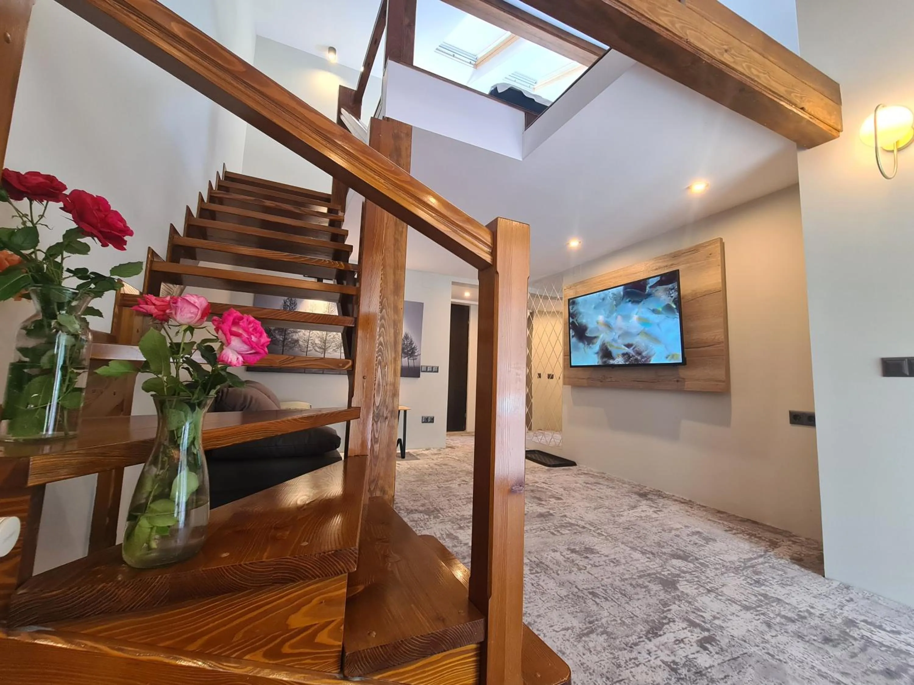 TV and multimedia in CASA FLORESCU