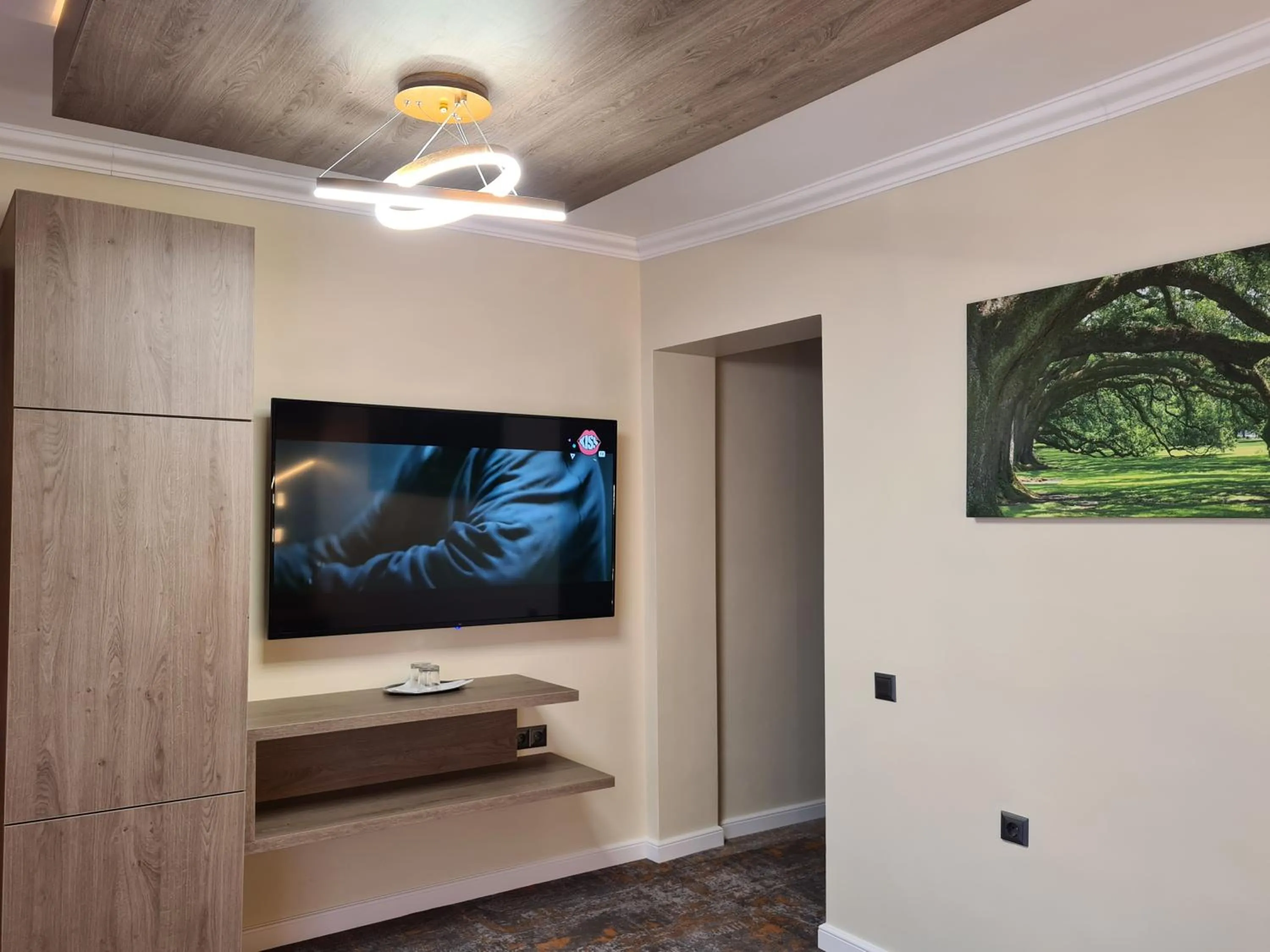 TV and multimedia in CASA FLORESCU