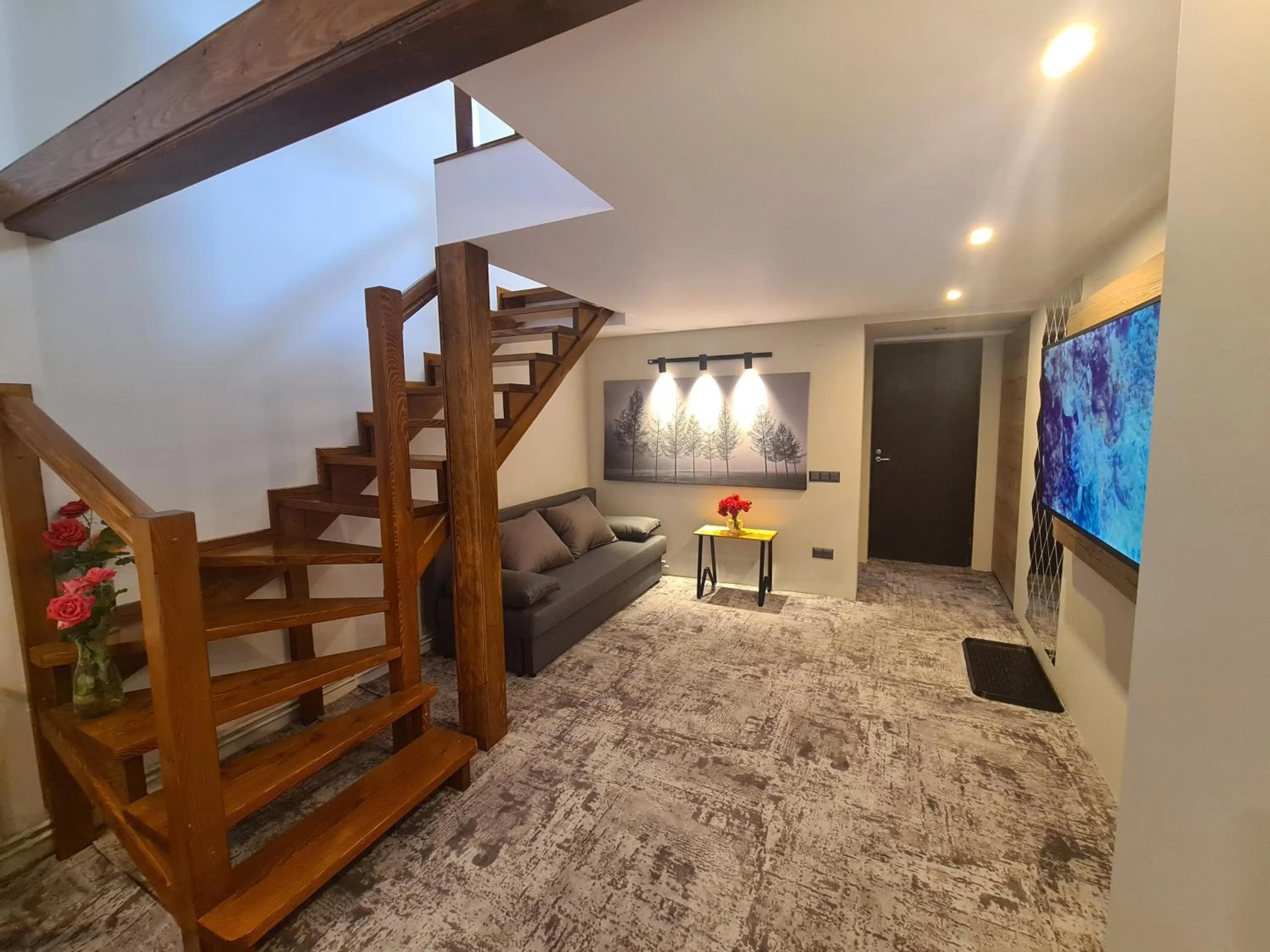 Living room in CASA FLORESCU