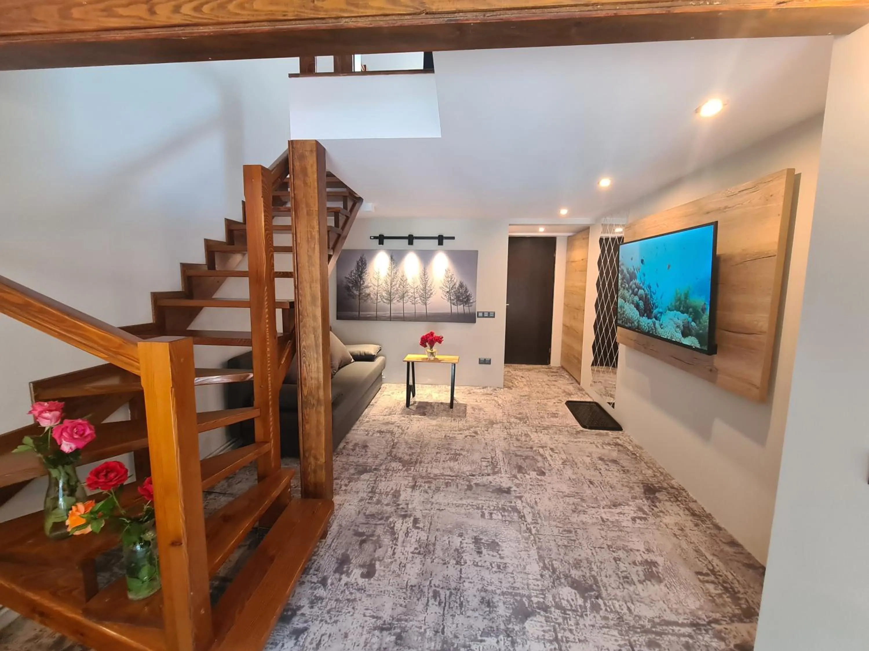 TV and multimedia in CASA FLORESCU