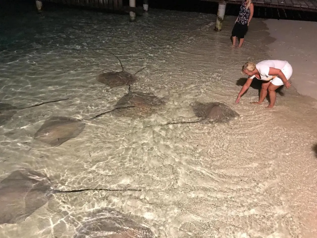 Animals in Thundi Sea View