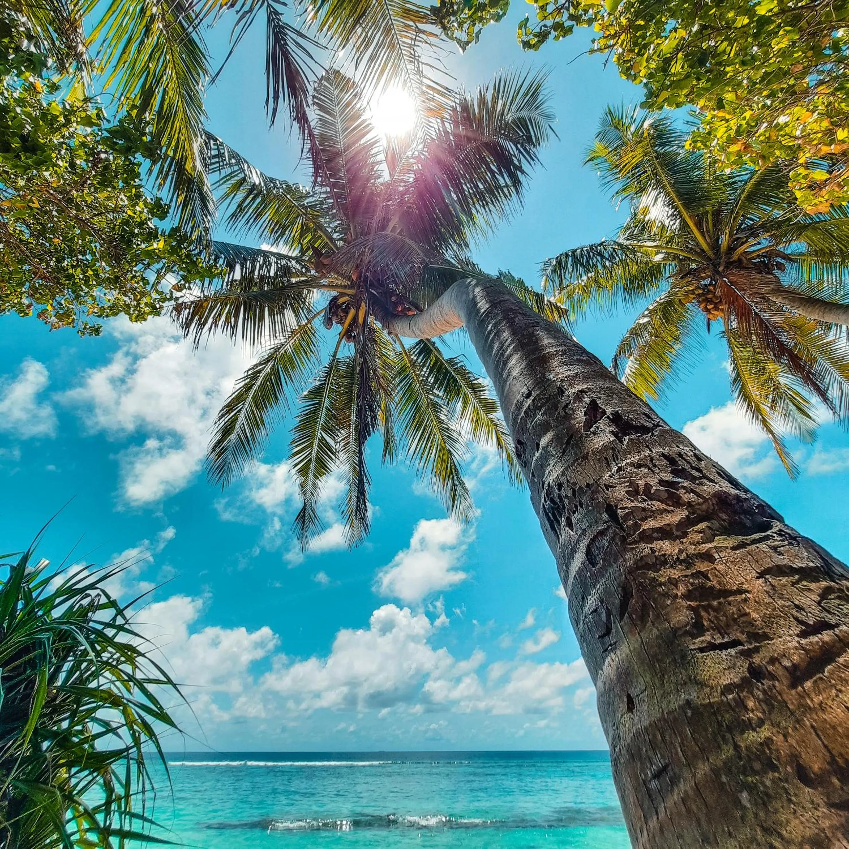 Sea view in Thundi Sea View