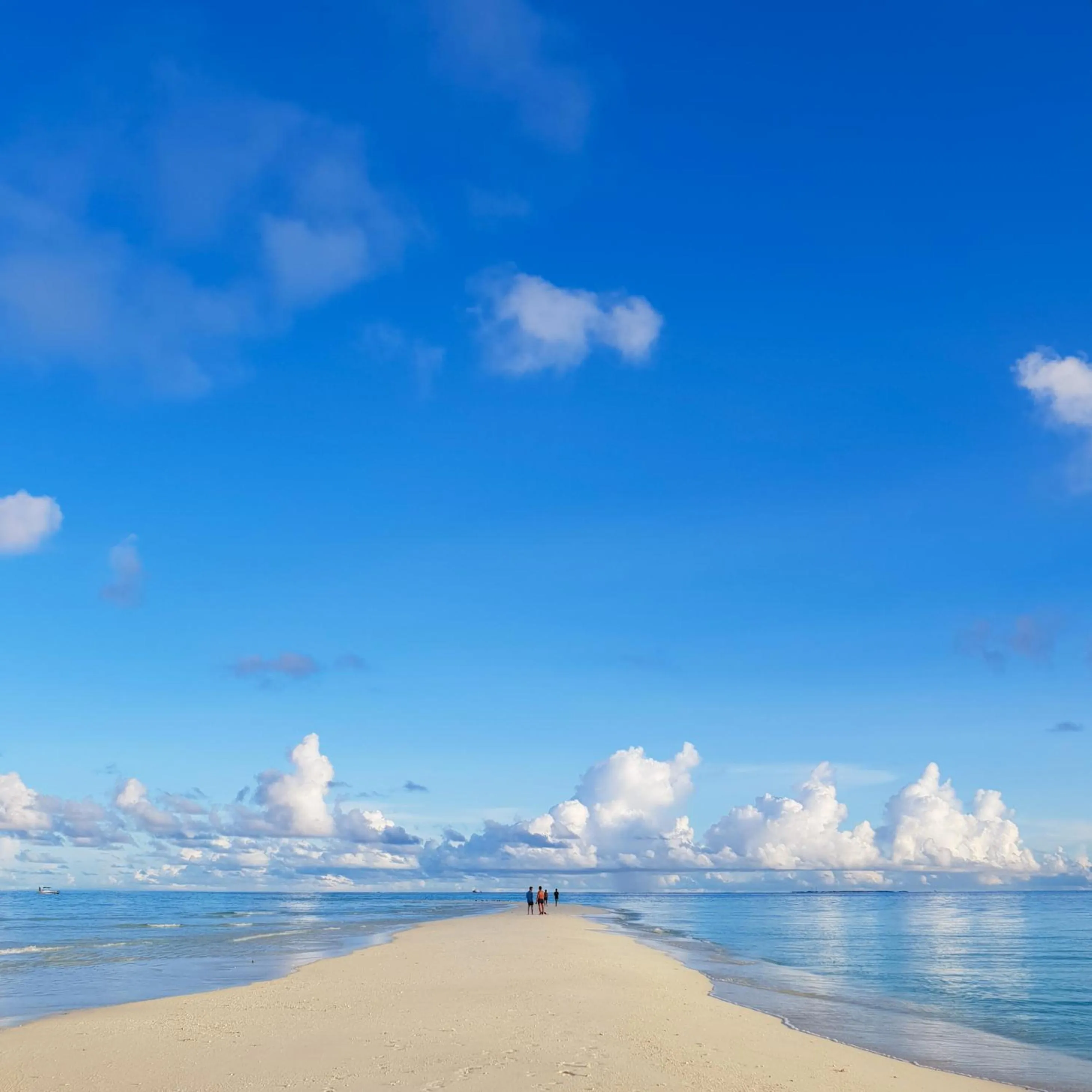 Activities in Thundi Sea View