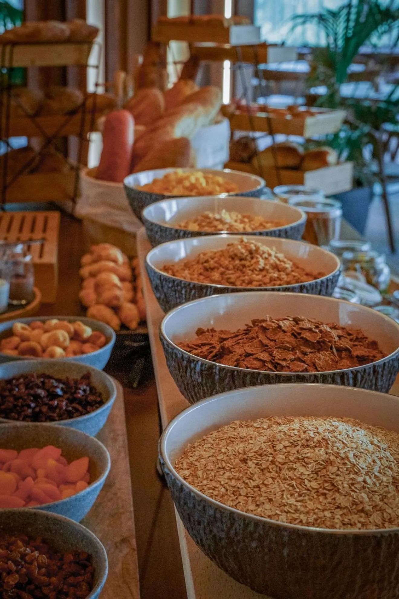 Food and drinks in Cook's Club Corfu - Adults Only