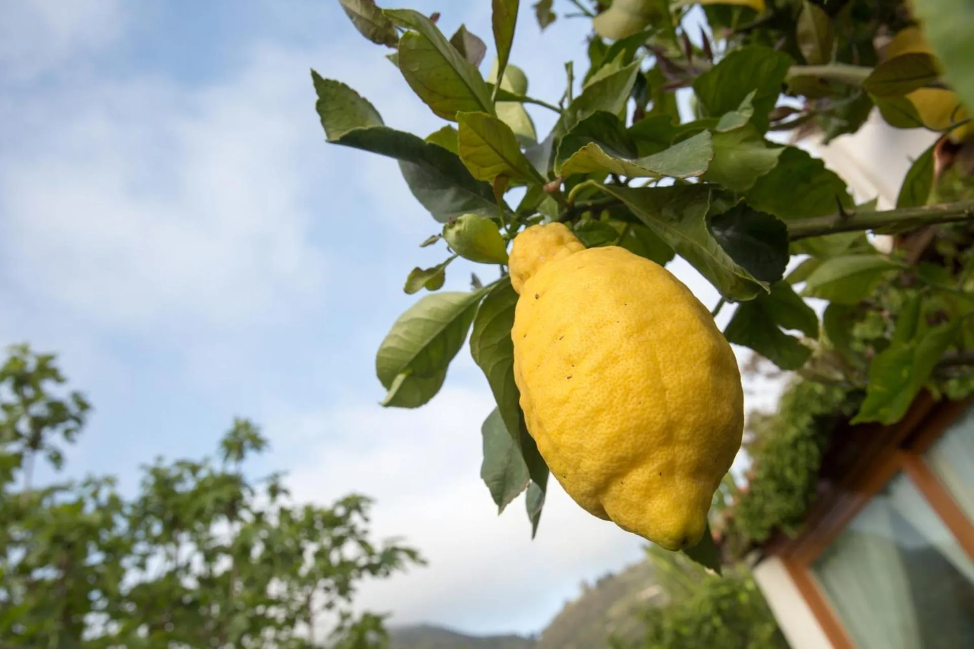 Property building in Hotel Residence Mendolita