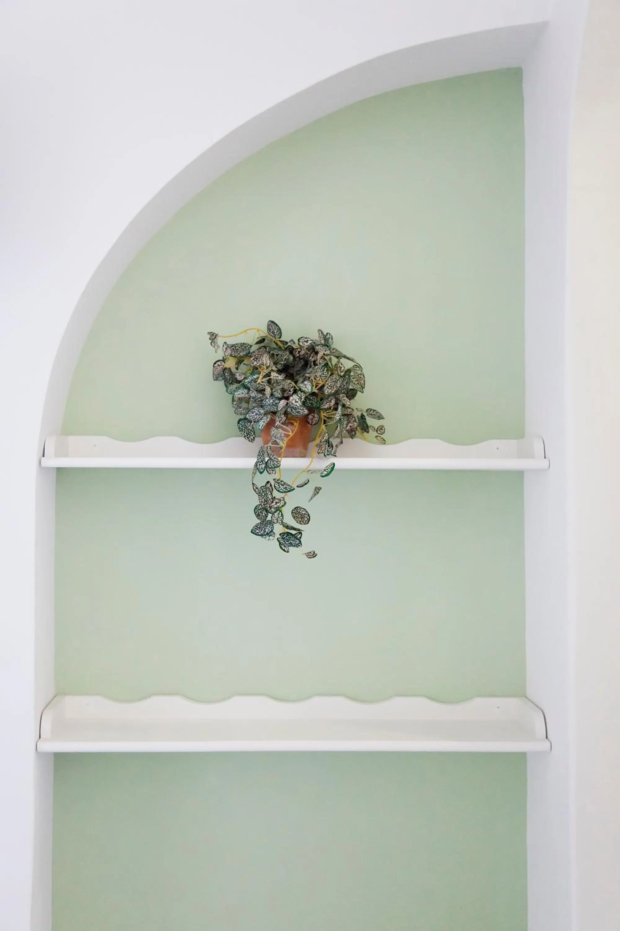 Decorative detail in Hotel Residence Mendolita