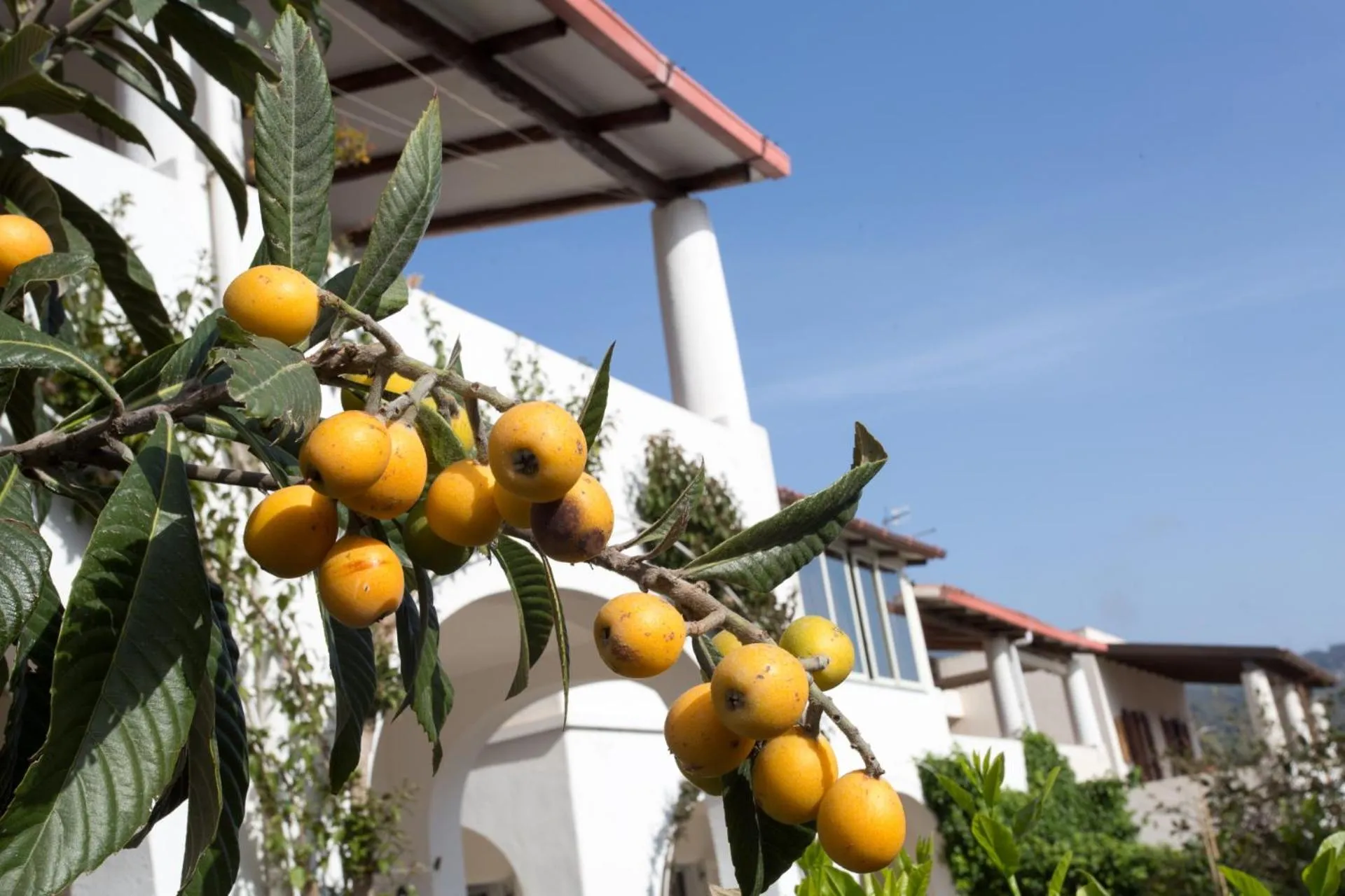 Garden view in Hotel Residence Mendolita