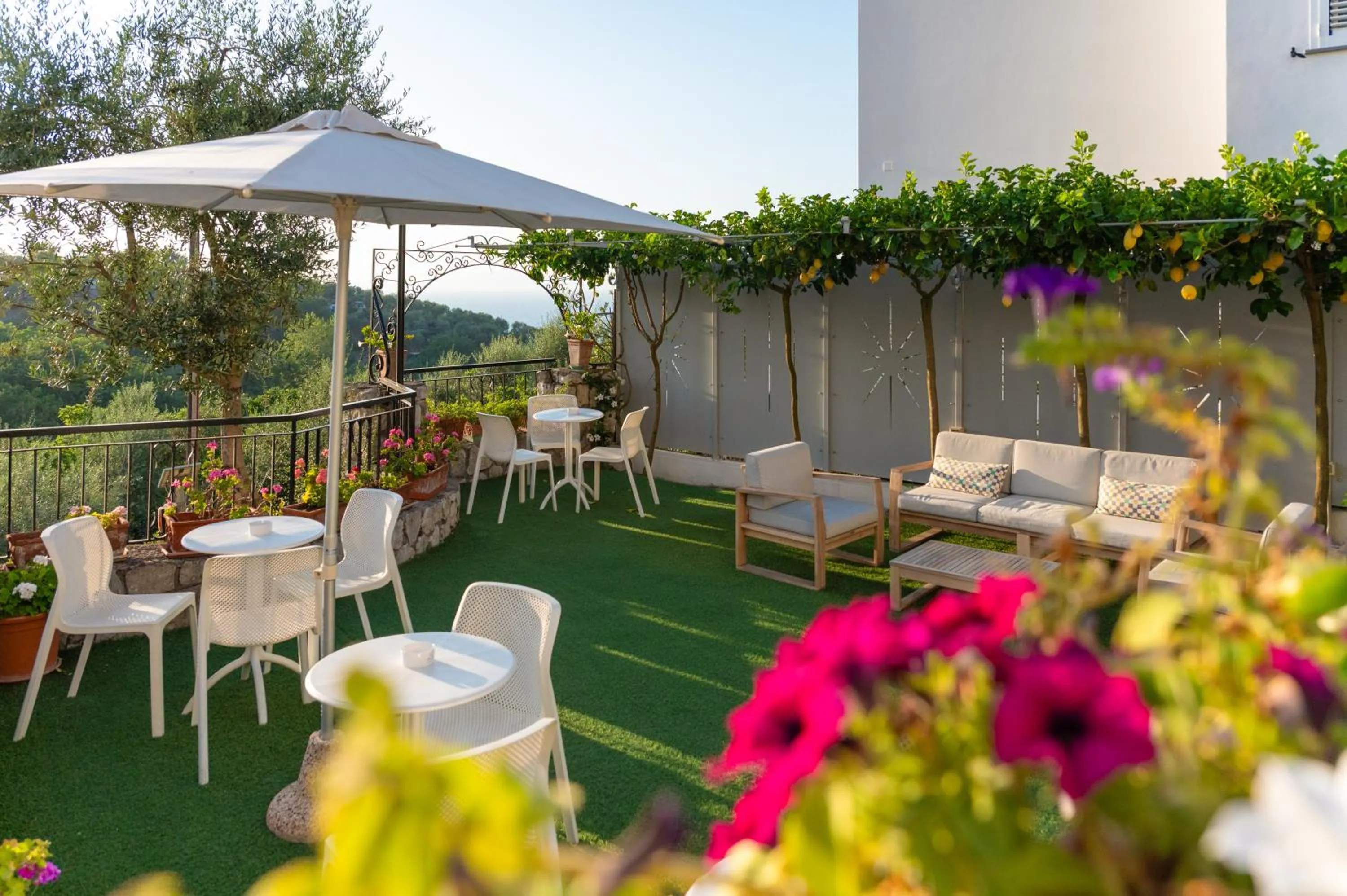 Garden in Hotel Britannia