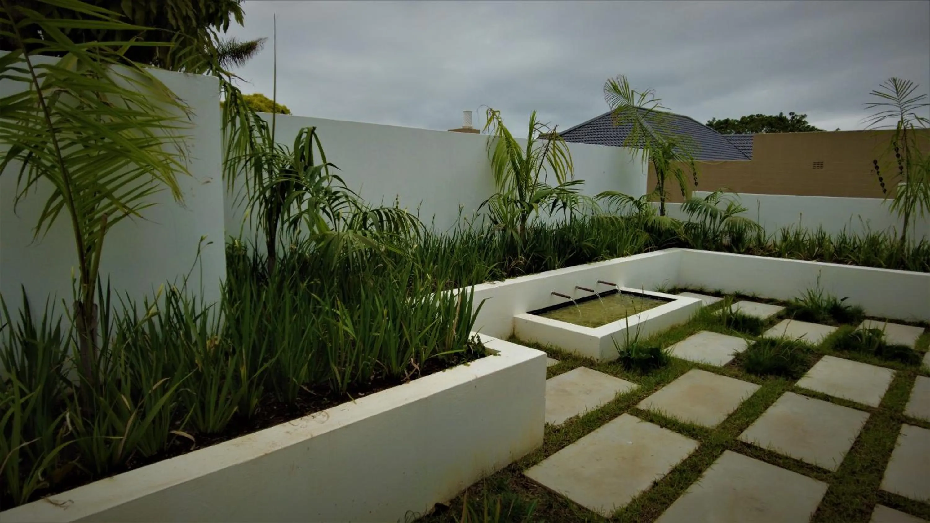 Garden view in The Executive Bed and Breakfast