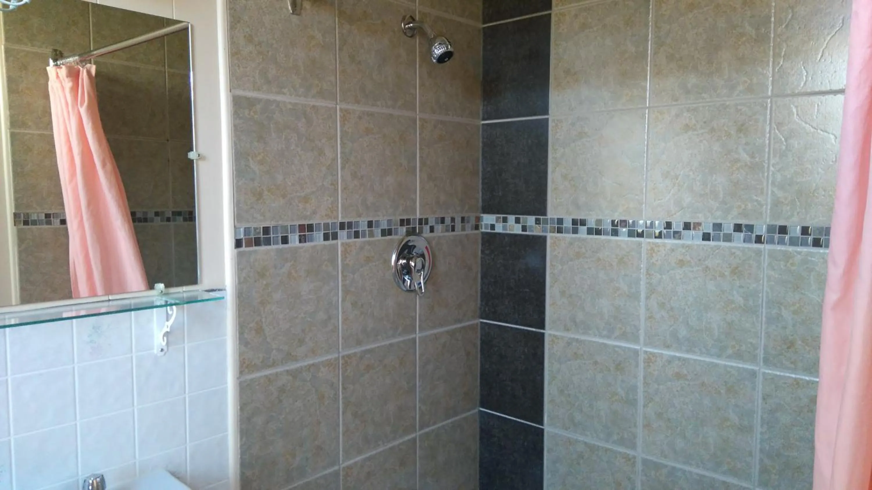 Shower in Oasis Motel