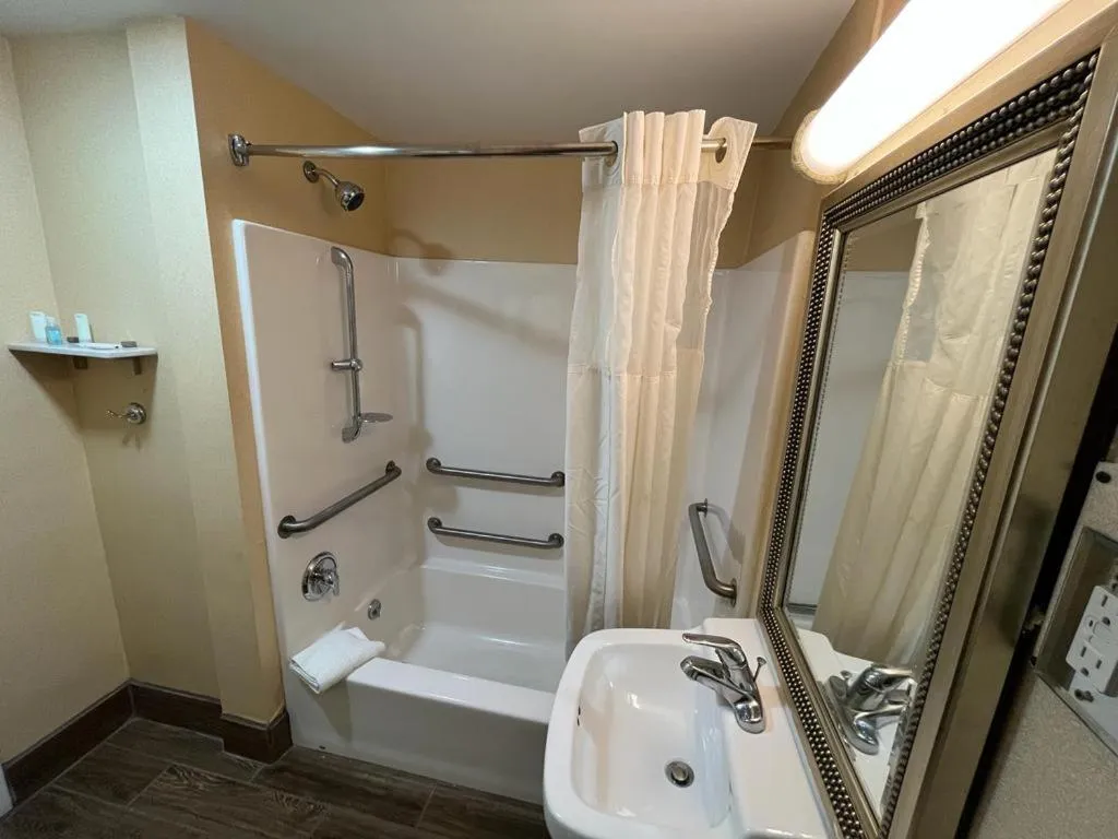 Deluxe King Room in Spark By Hilton Hershey Near The Park