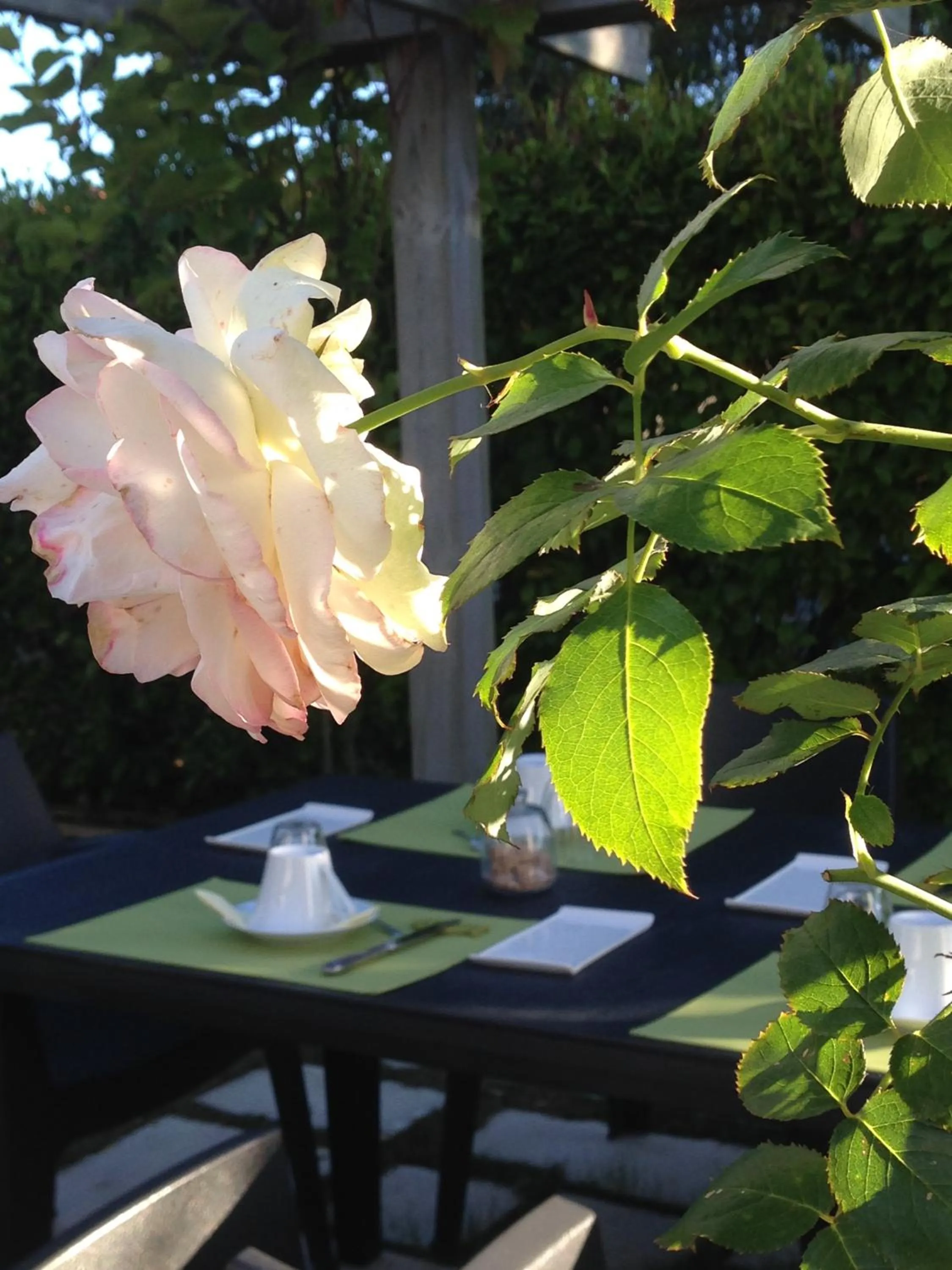 Natural landscape in Ô'Maxethel