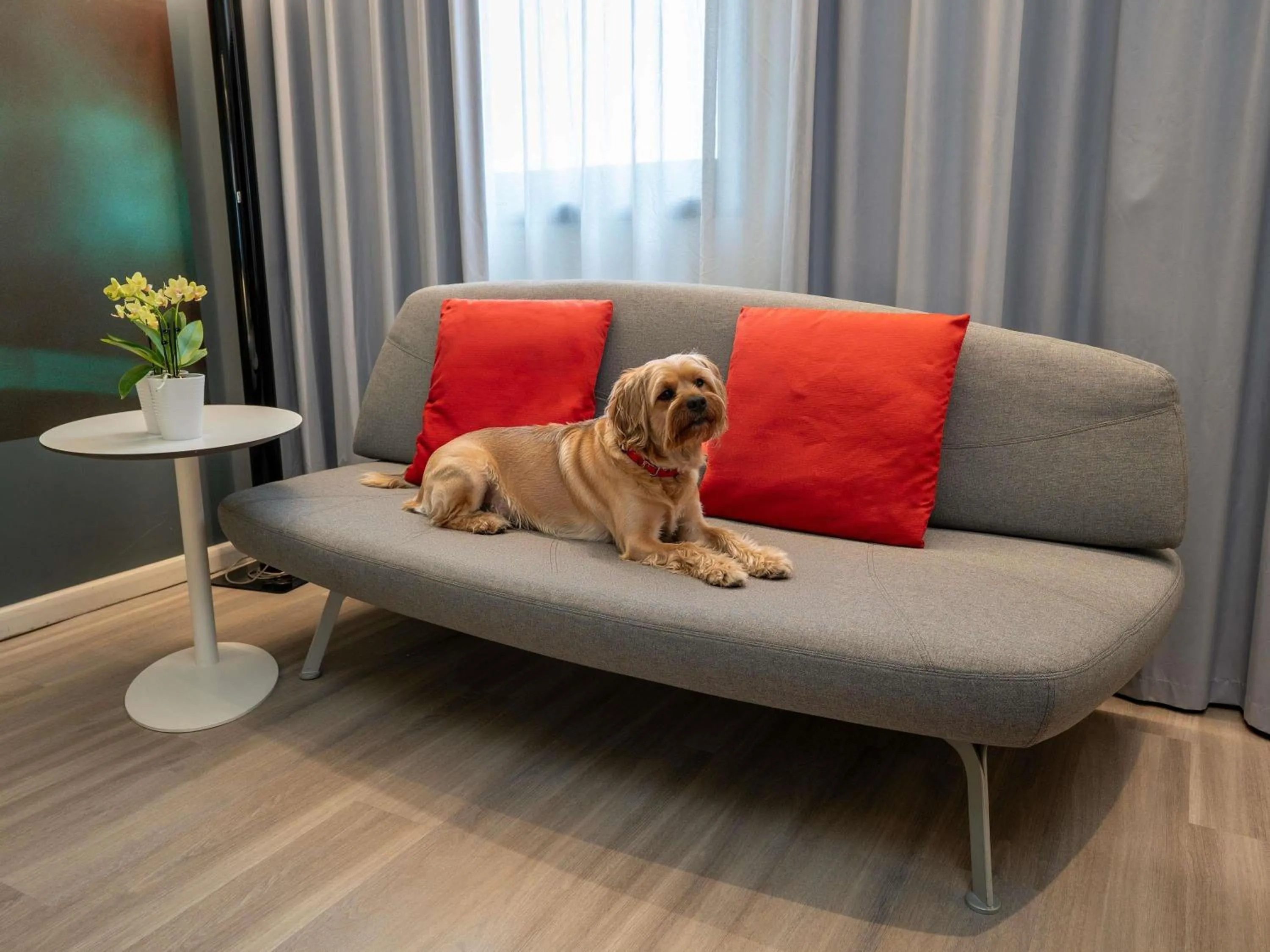 Bedroom in Novotel Milano Linate Aeroporto