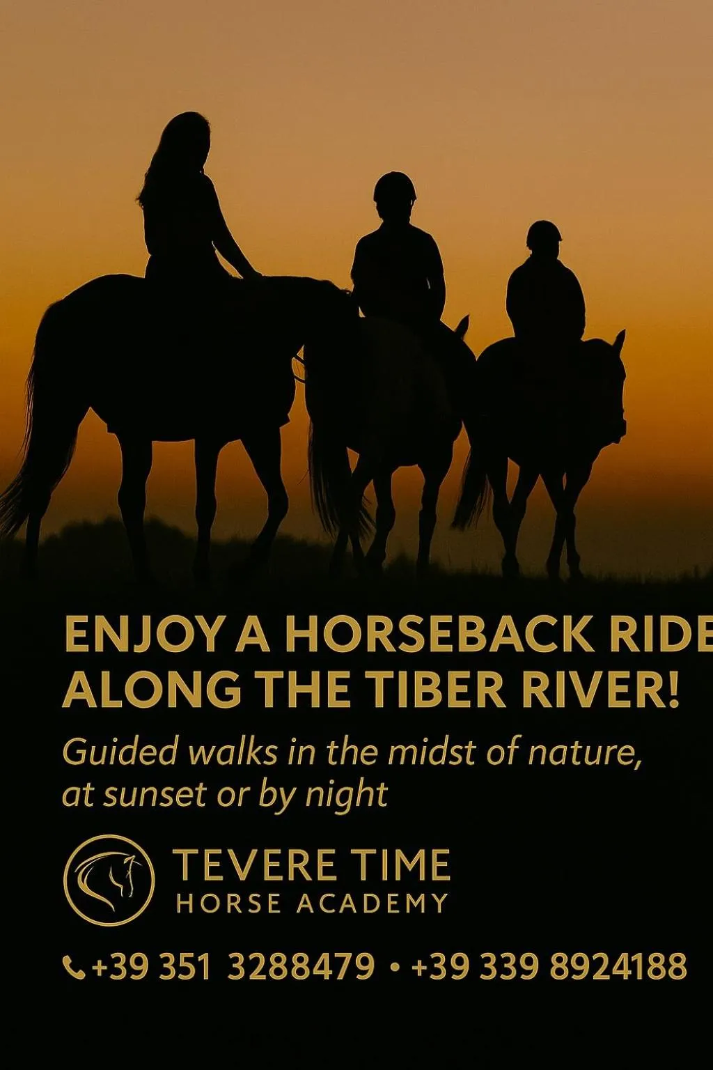 Horse-riding in EURO HOUSE INN airport