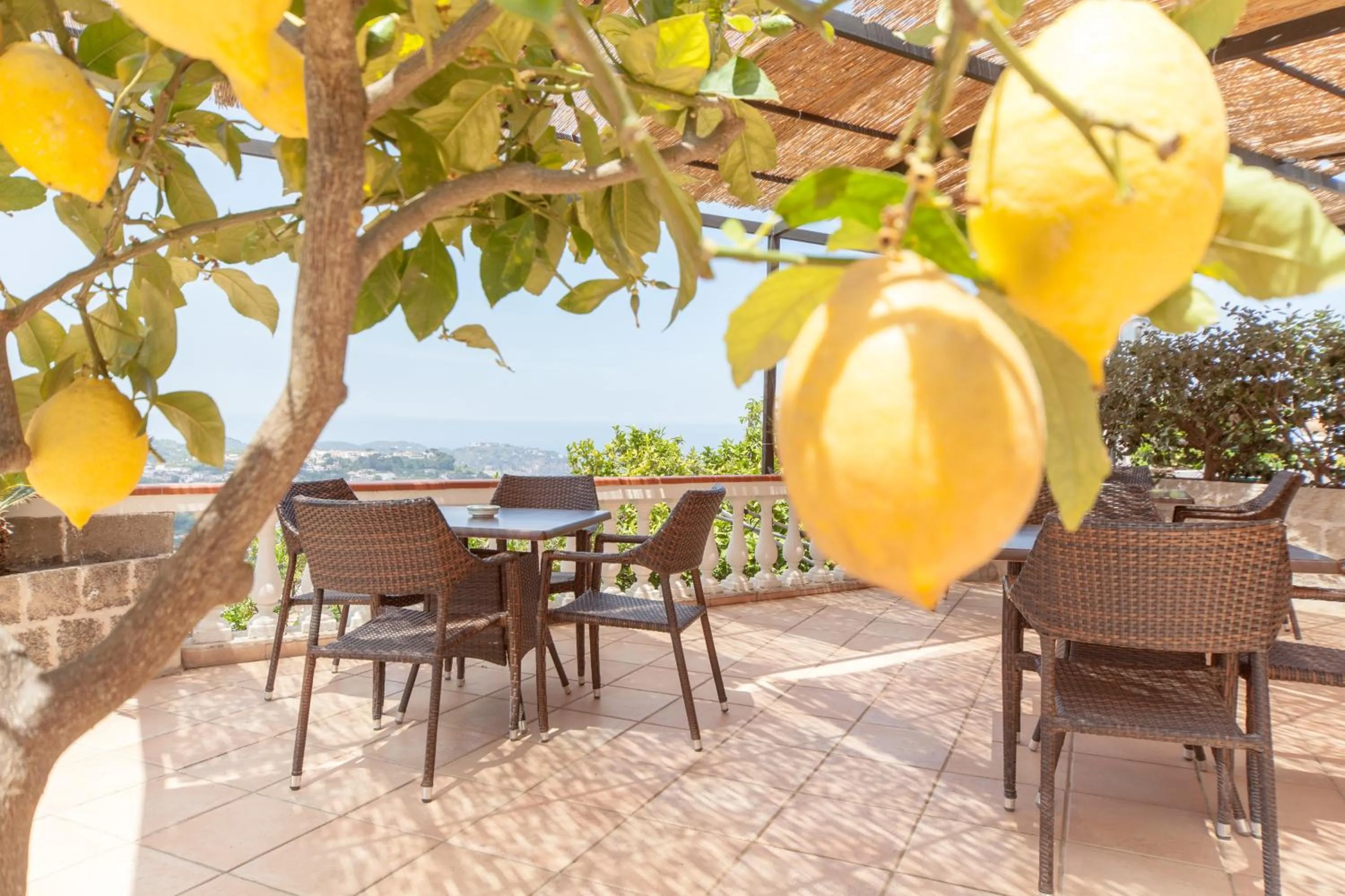 Restaurant/places to eat in Hotel Ape Regina