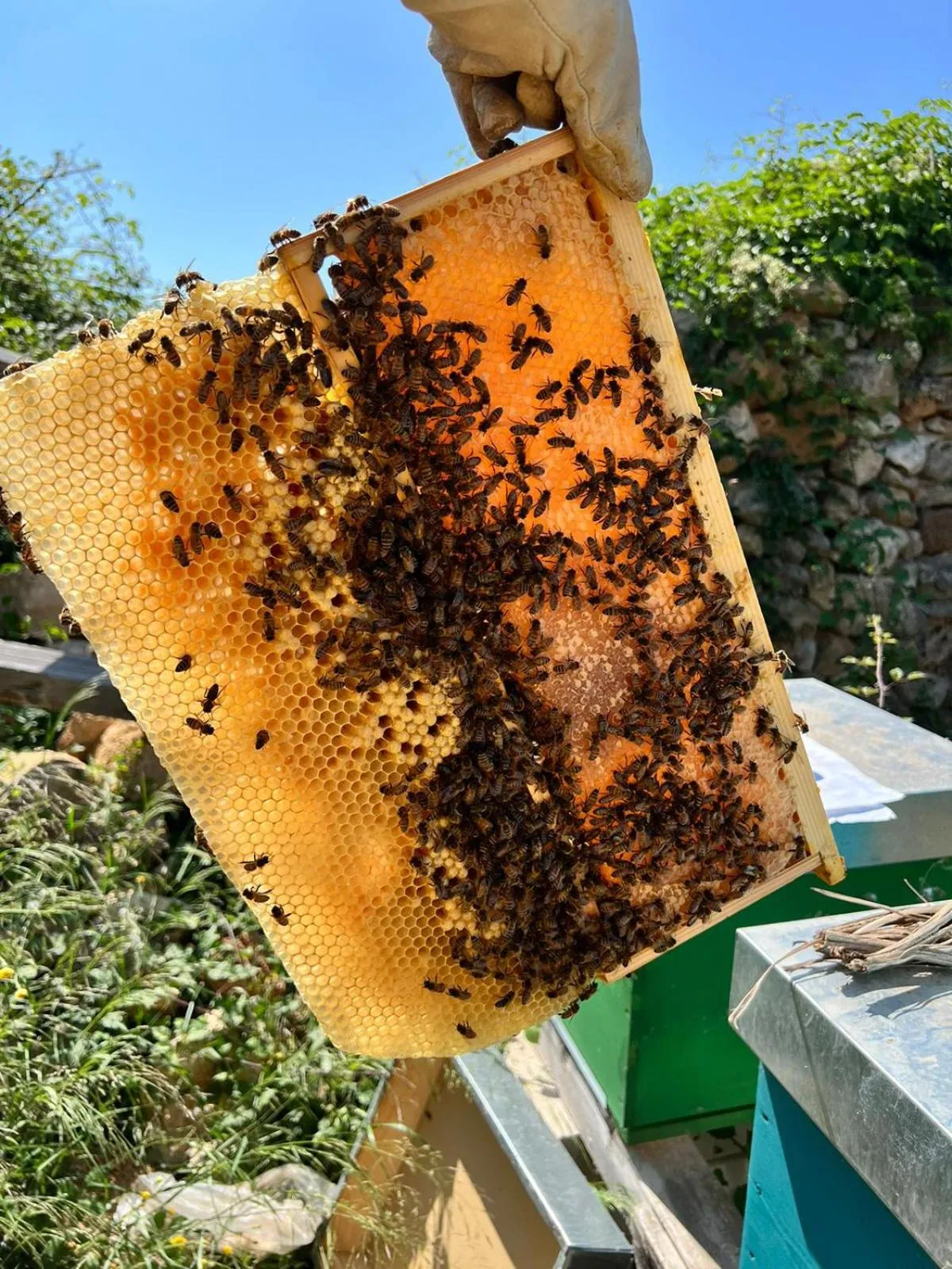 Valle di Mare Country Resort