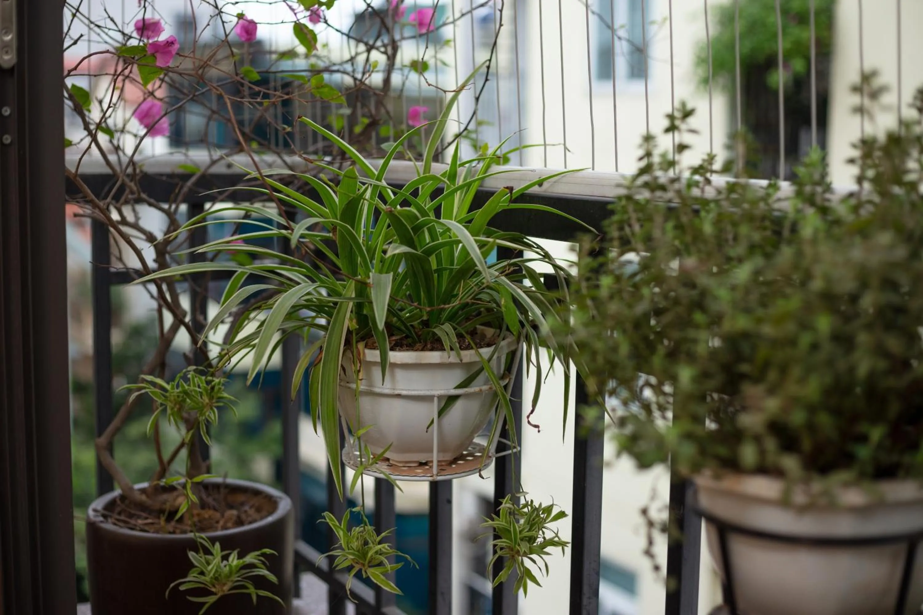 Balcony/Terrace in YR Hotel & Apartments