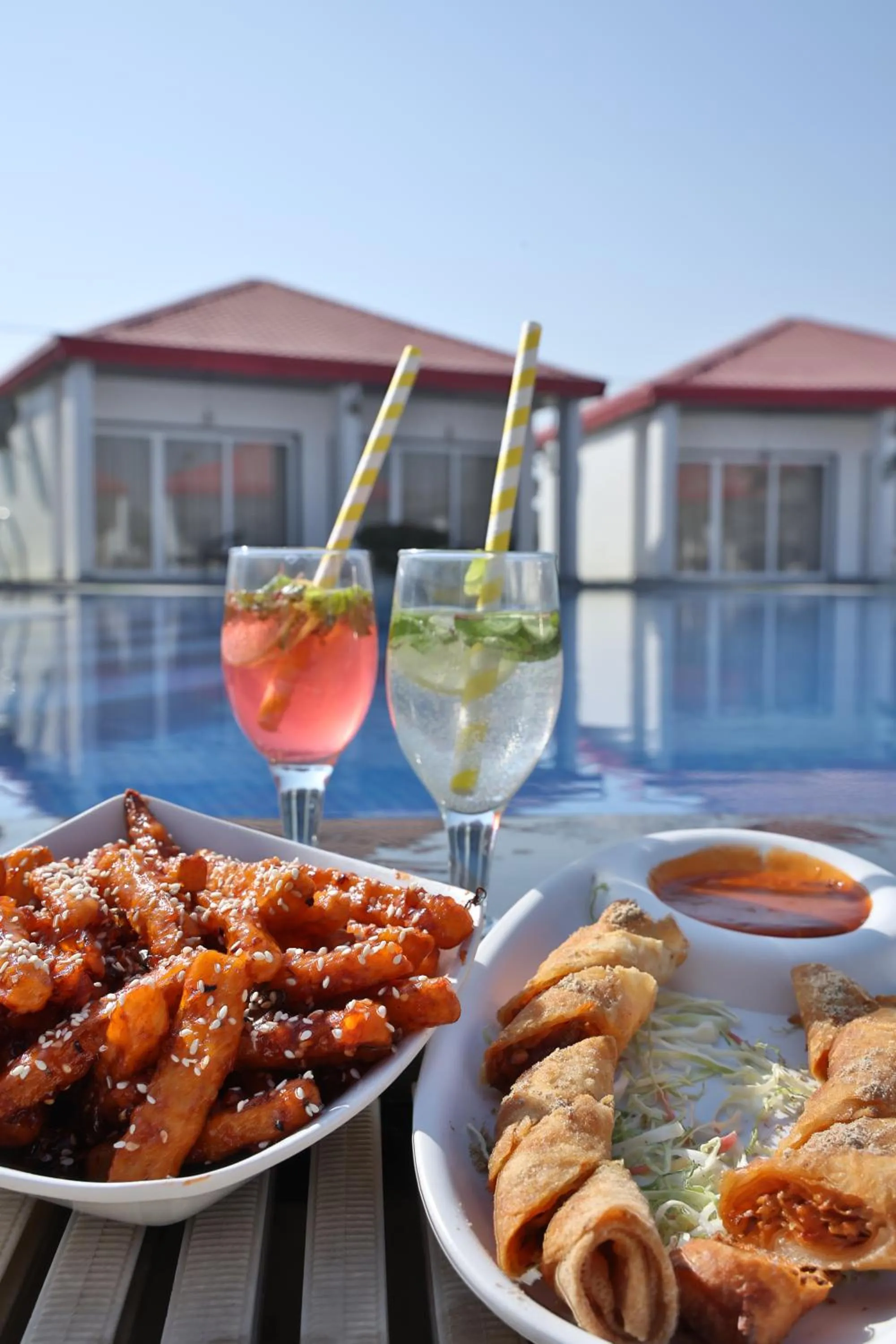 Food and drinks in Mannat Resort Paota