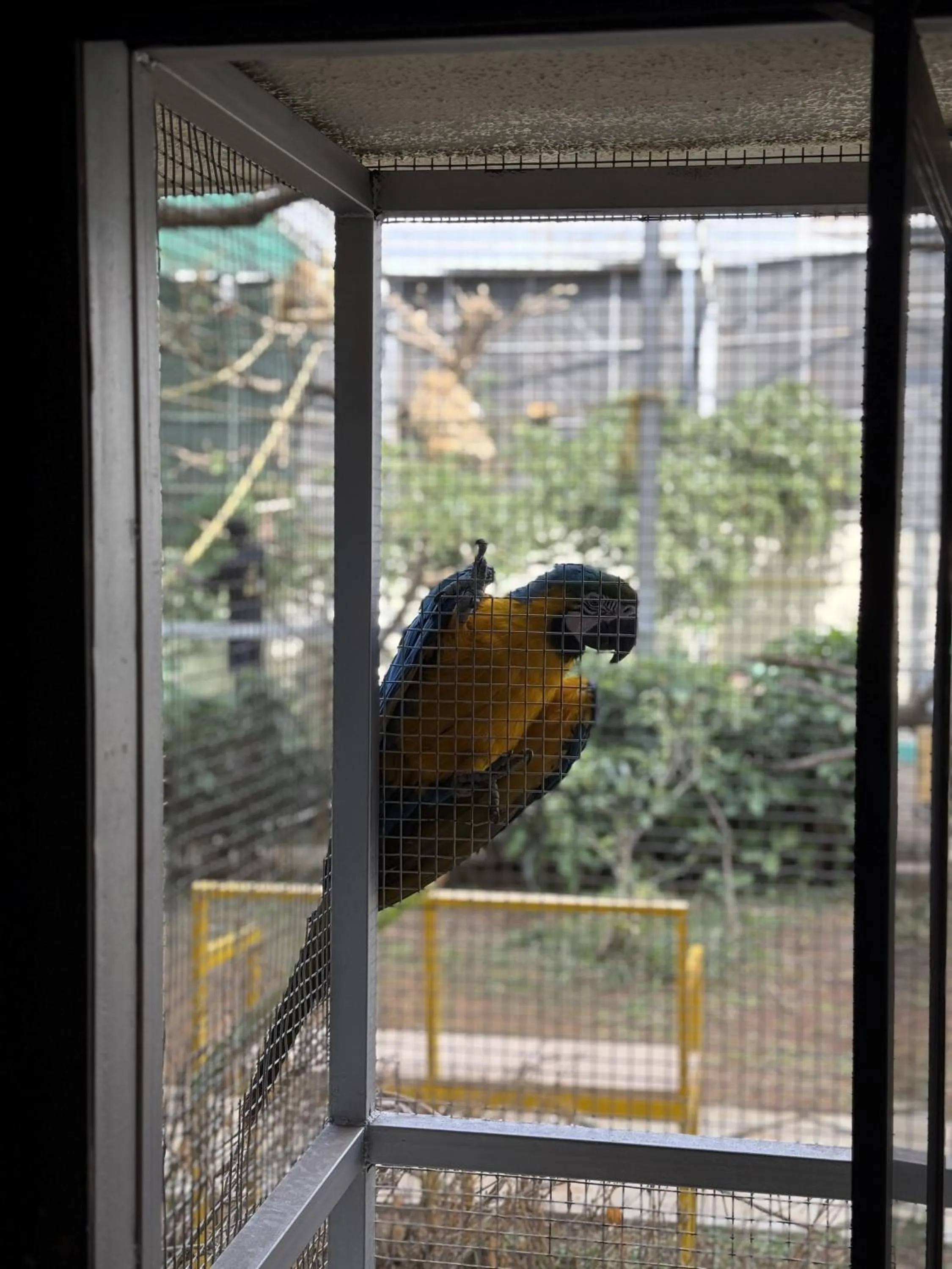 Garden view in Camel Valley Resort & Spa, Igatpuri