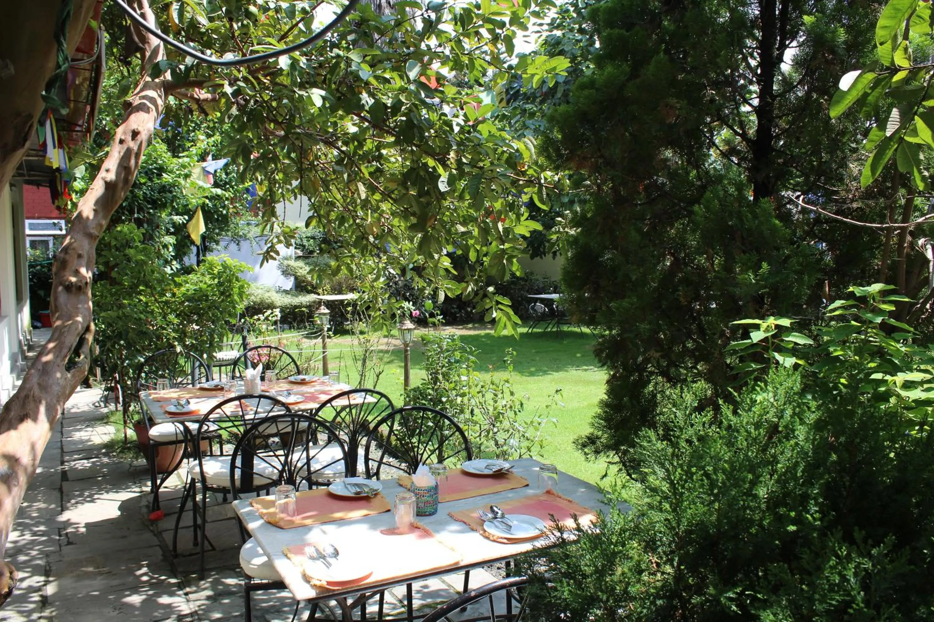 Restaurant/places to eat in ROKPA Guest House