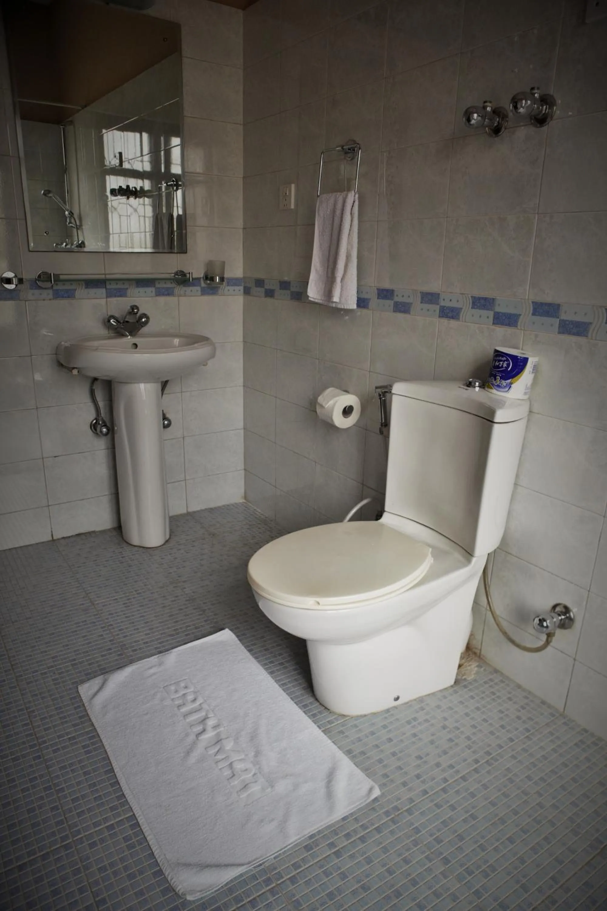 Toilet in ROKPA Guest House