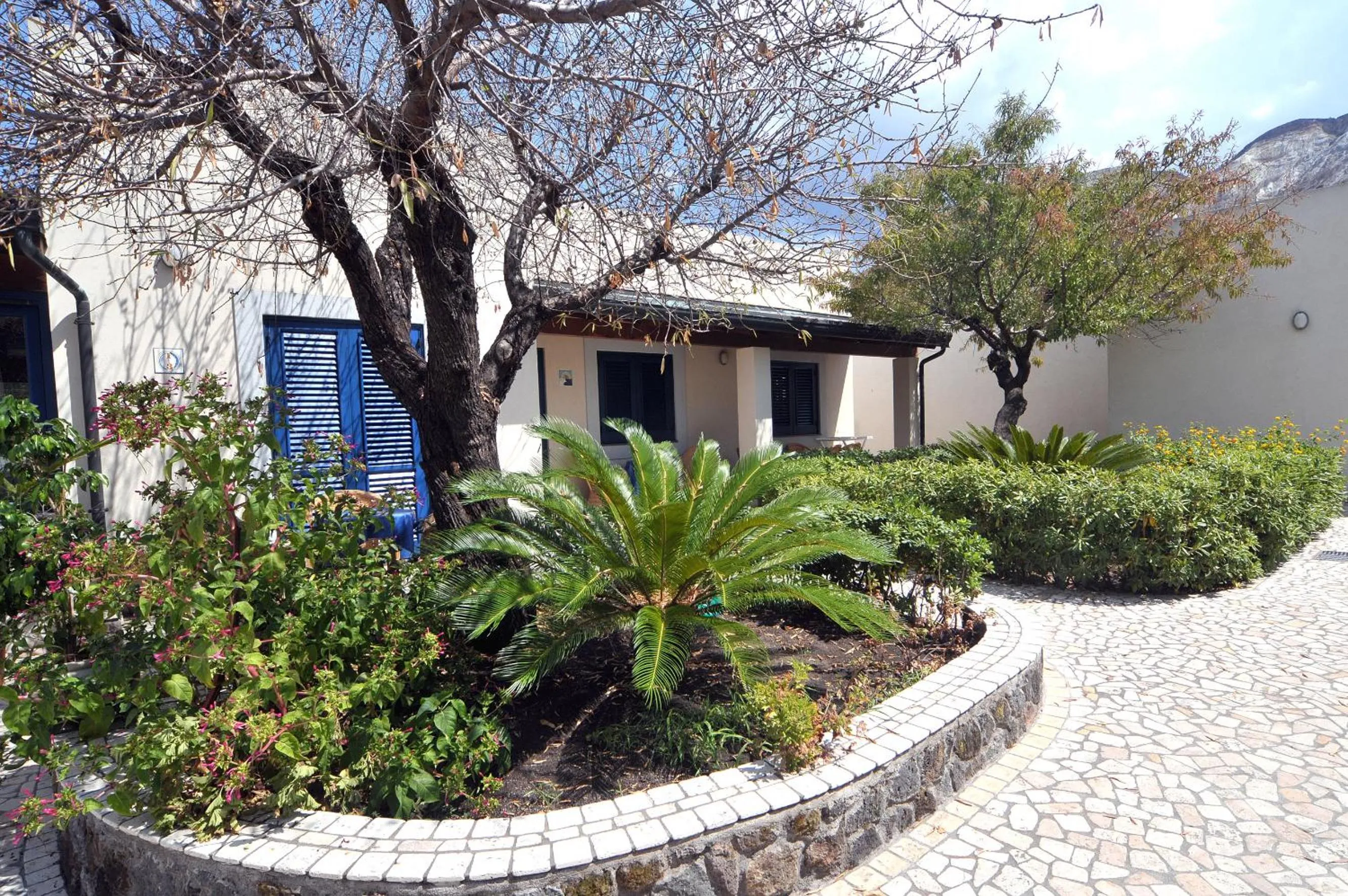 Garden in Hotel Aura