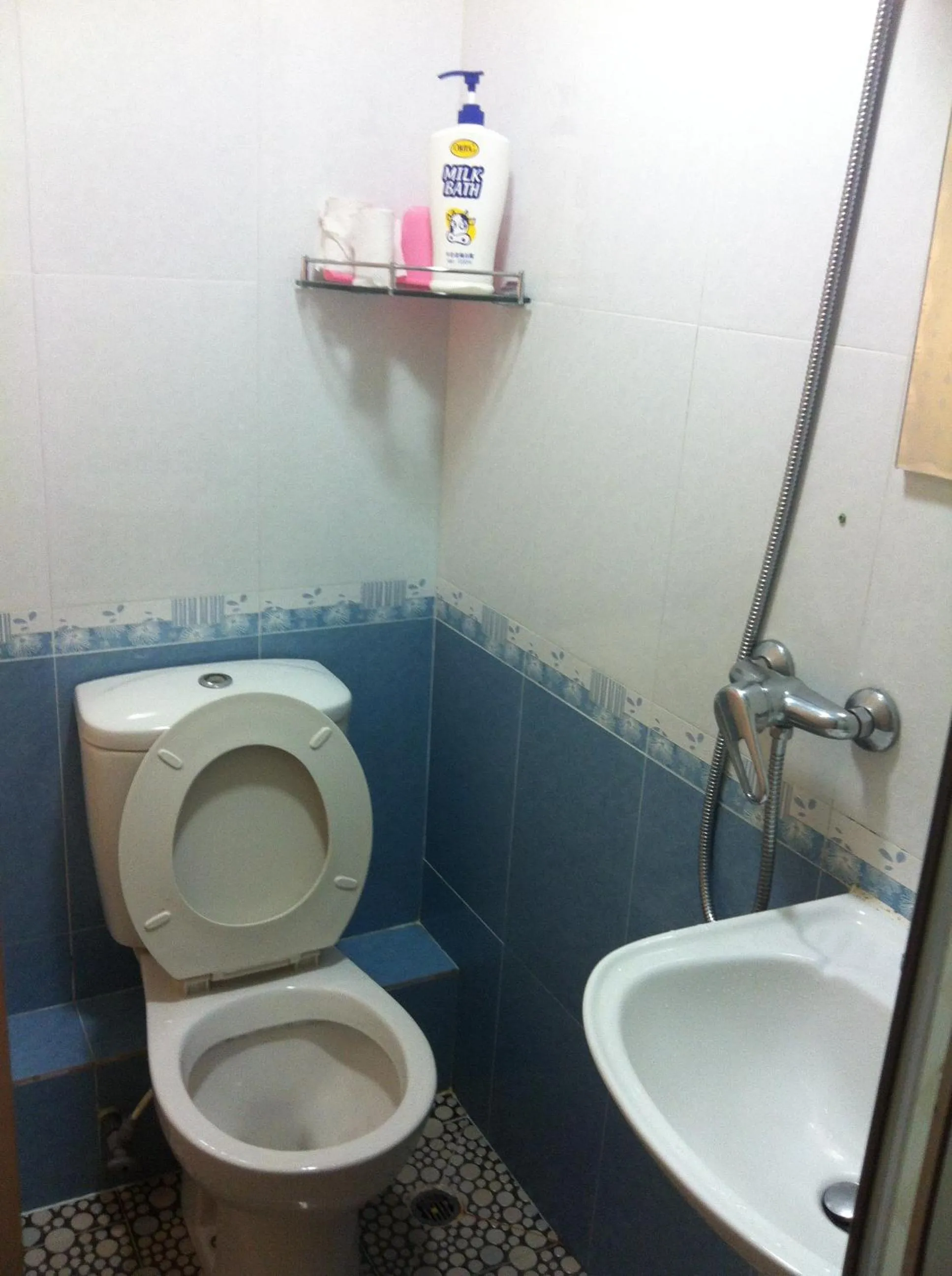 Bathroom in Everest Guest House