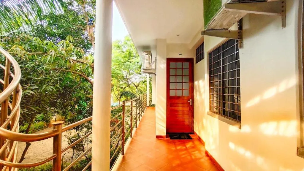 Garden in The Canopy Guest House