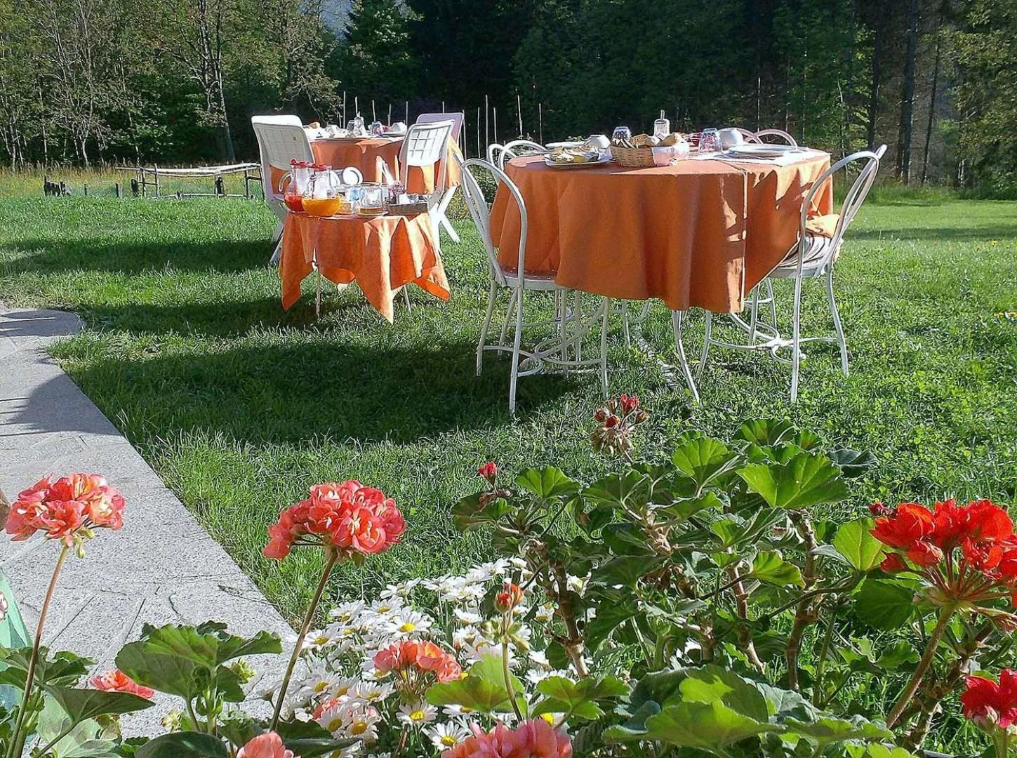 Food and drinks in Bed and Breakfast Cappeler